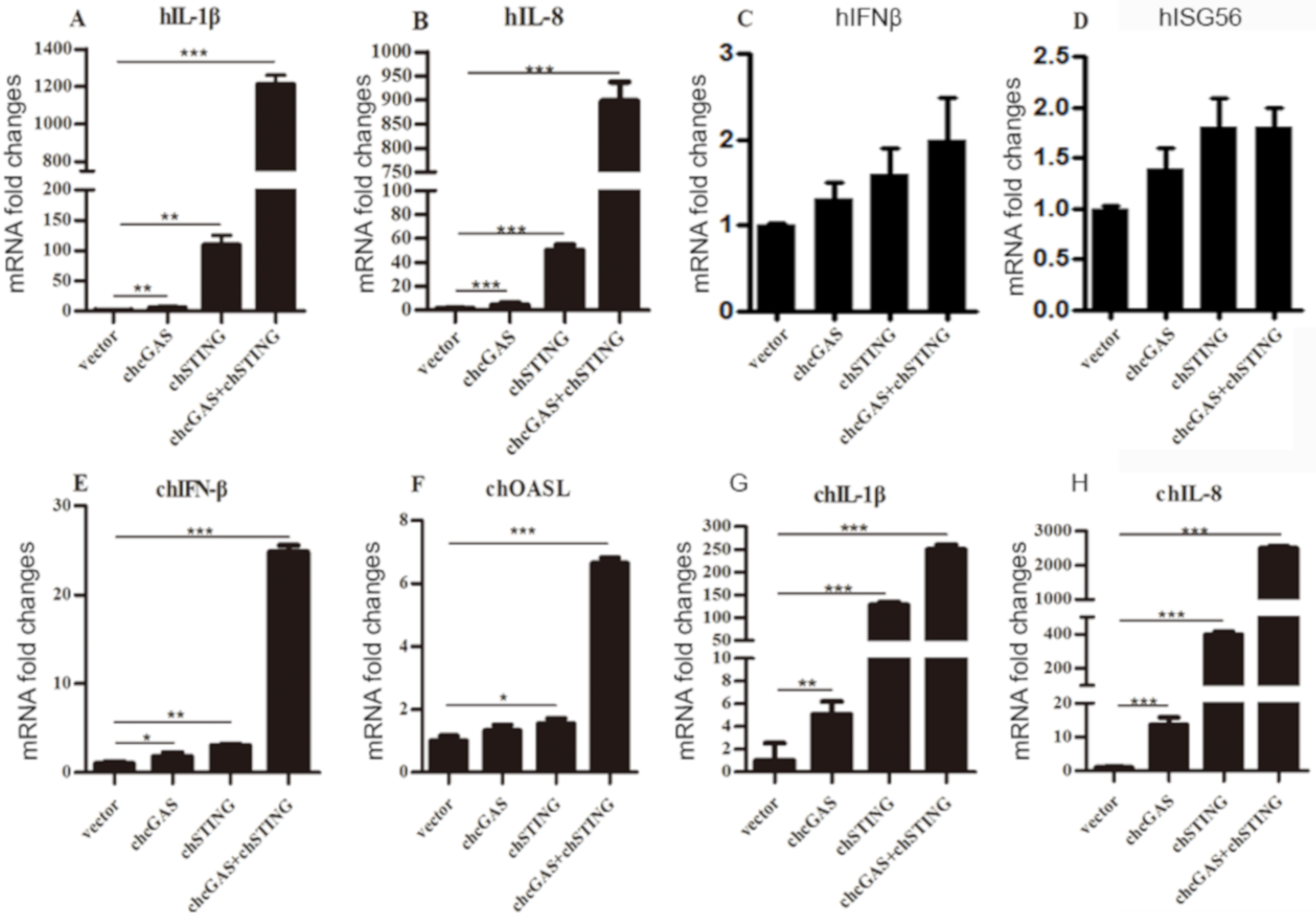 Vaccines 08 00369 g003