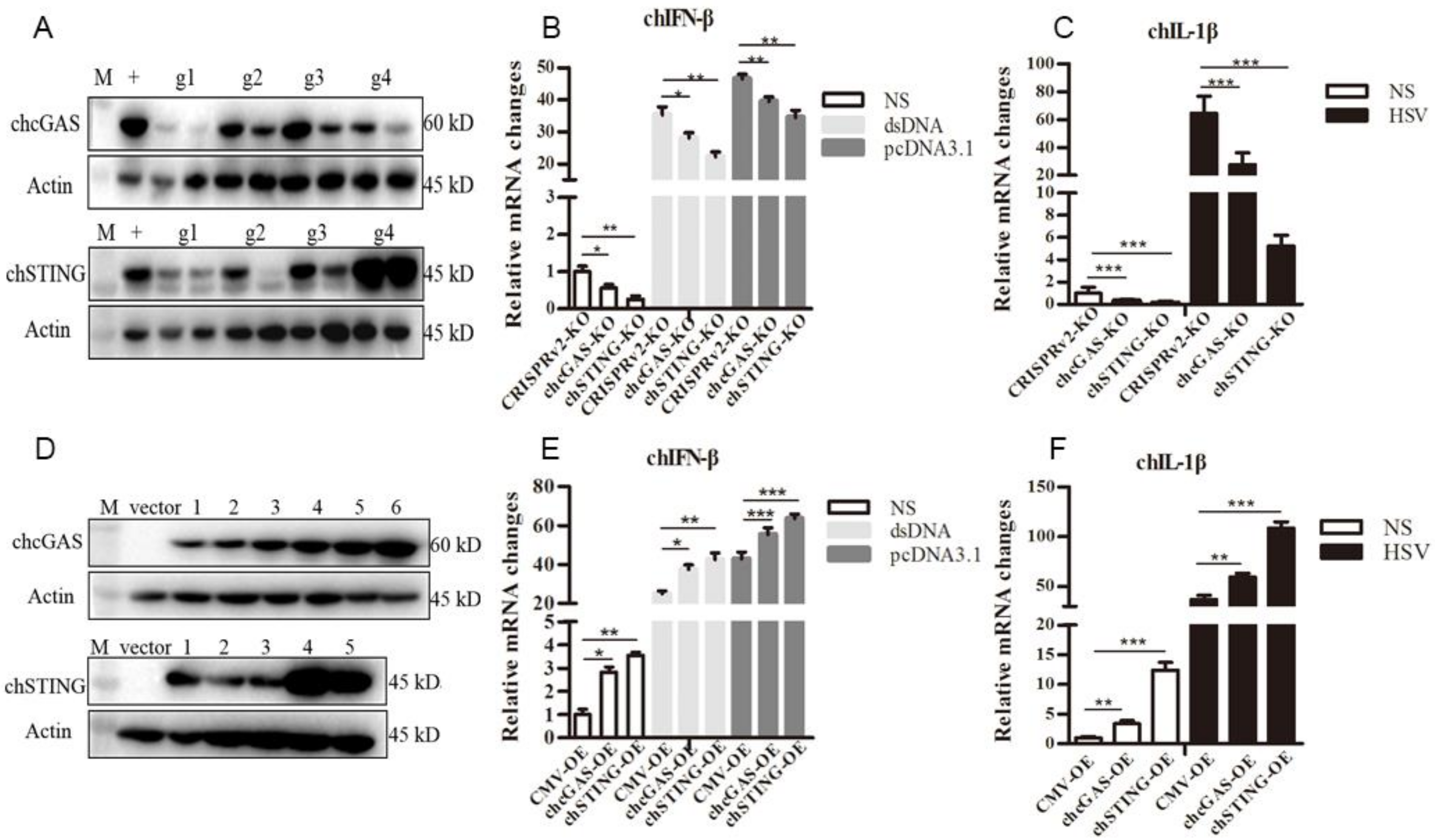 Vaccines 08 00369 g005