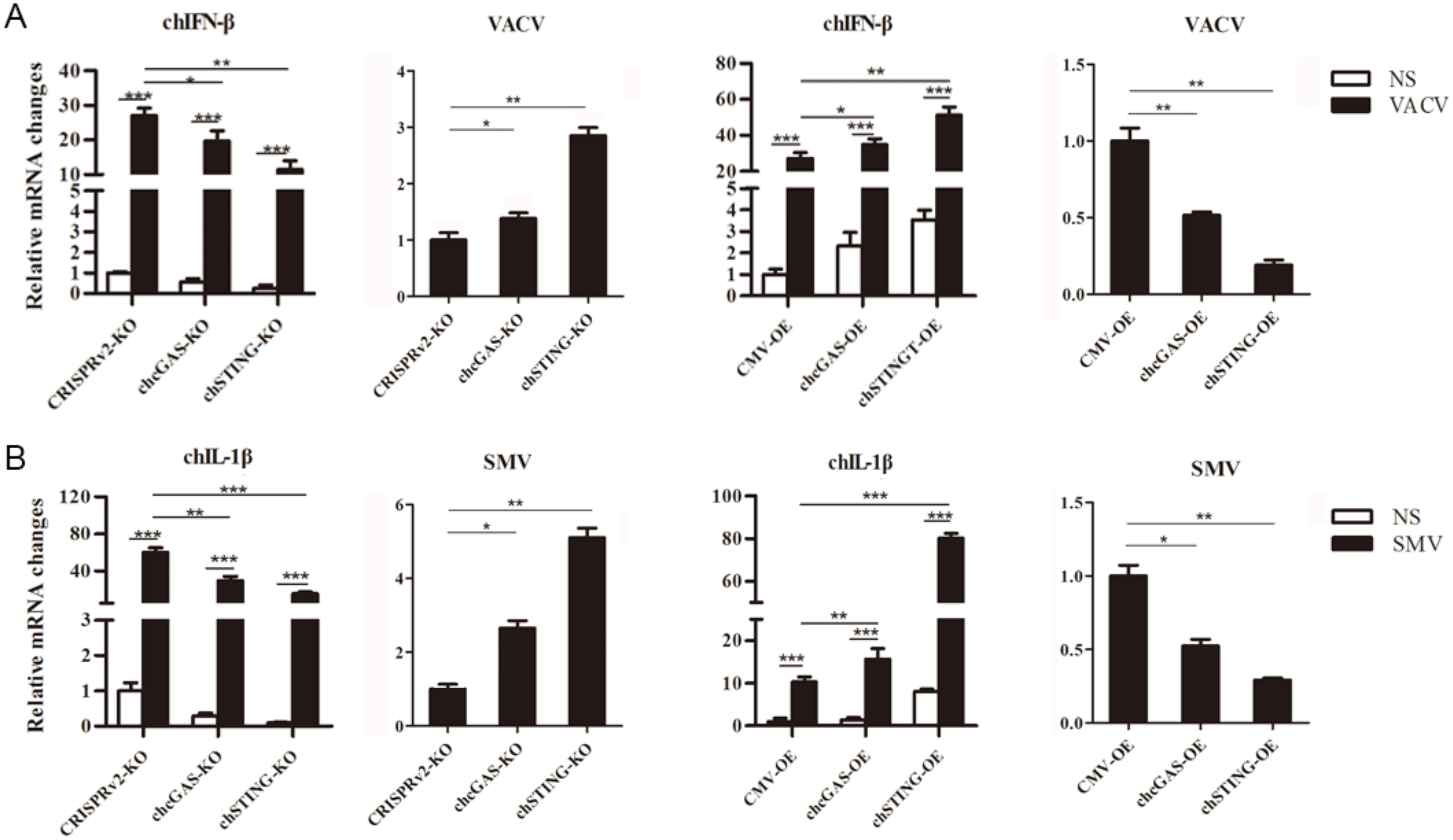 Vaccines 08 00369 g006