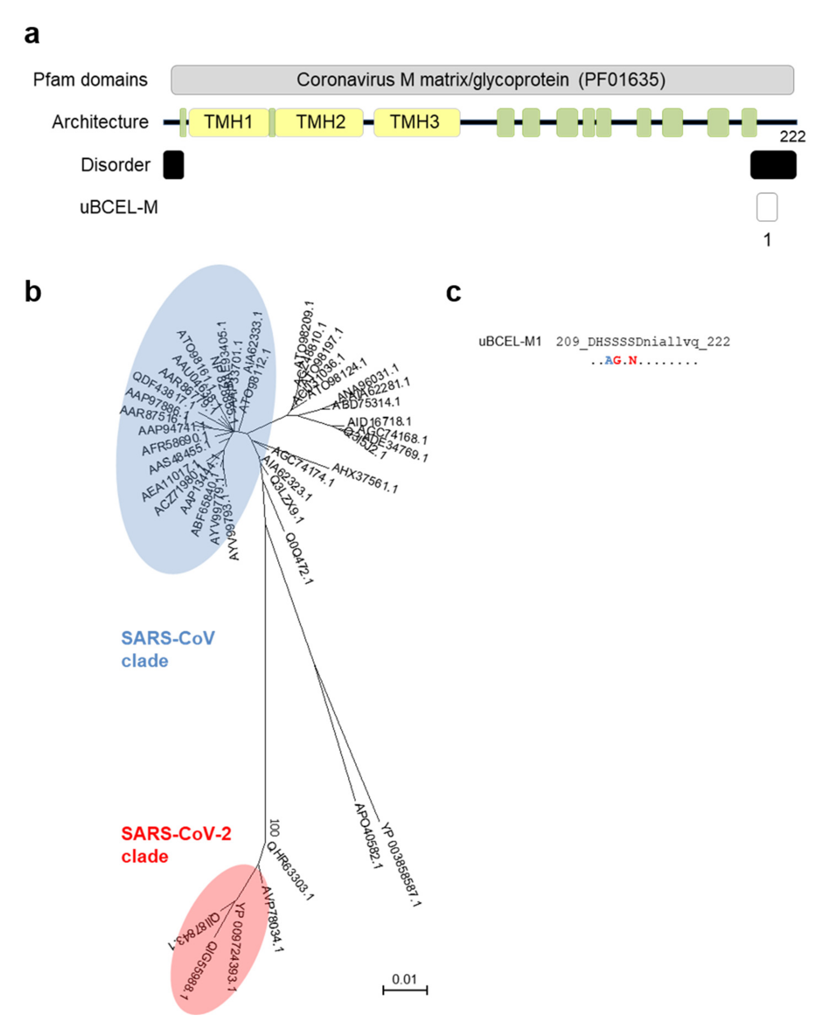Vaccines 08 00397 g006