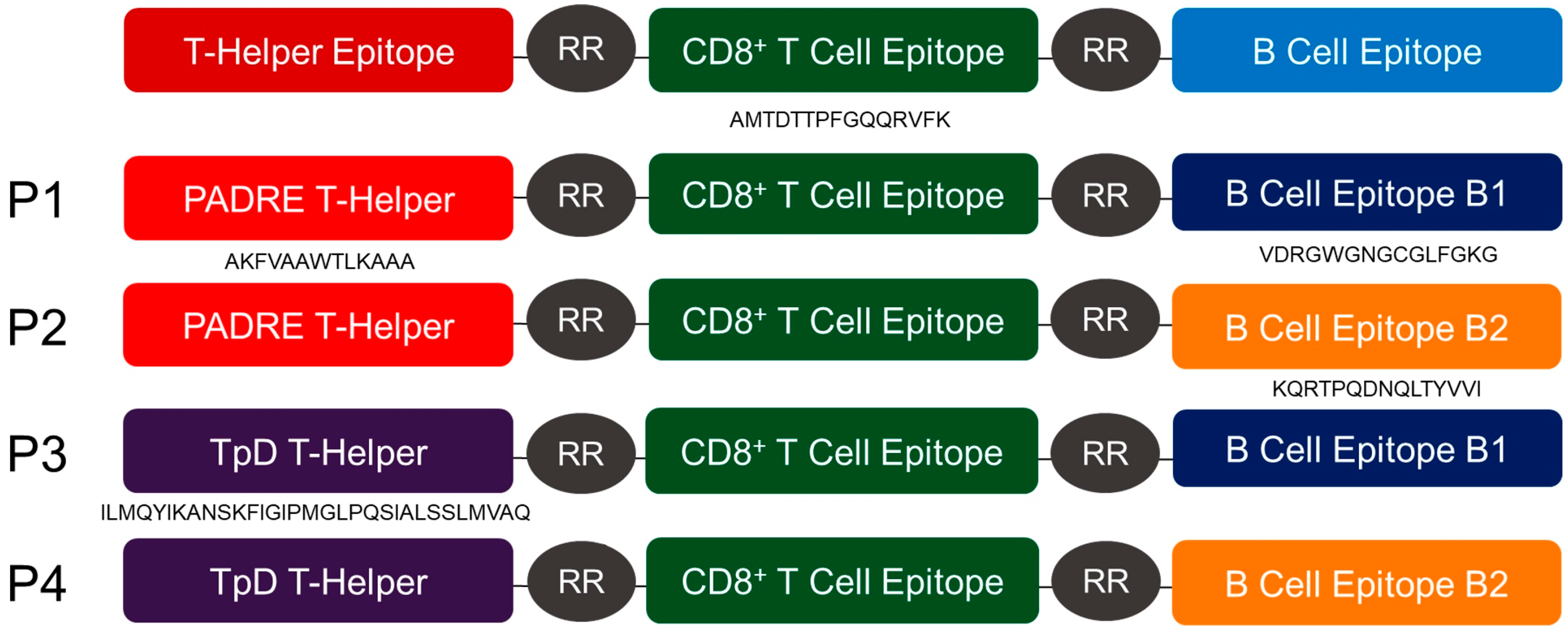 Vaccines 08 00417 g001