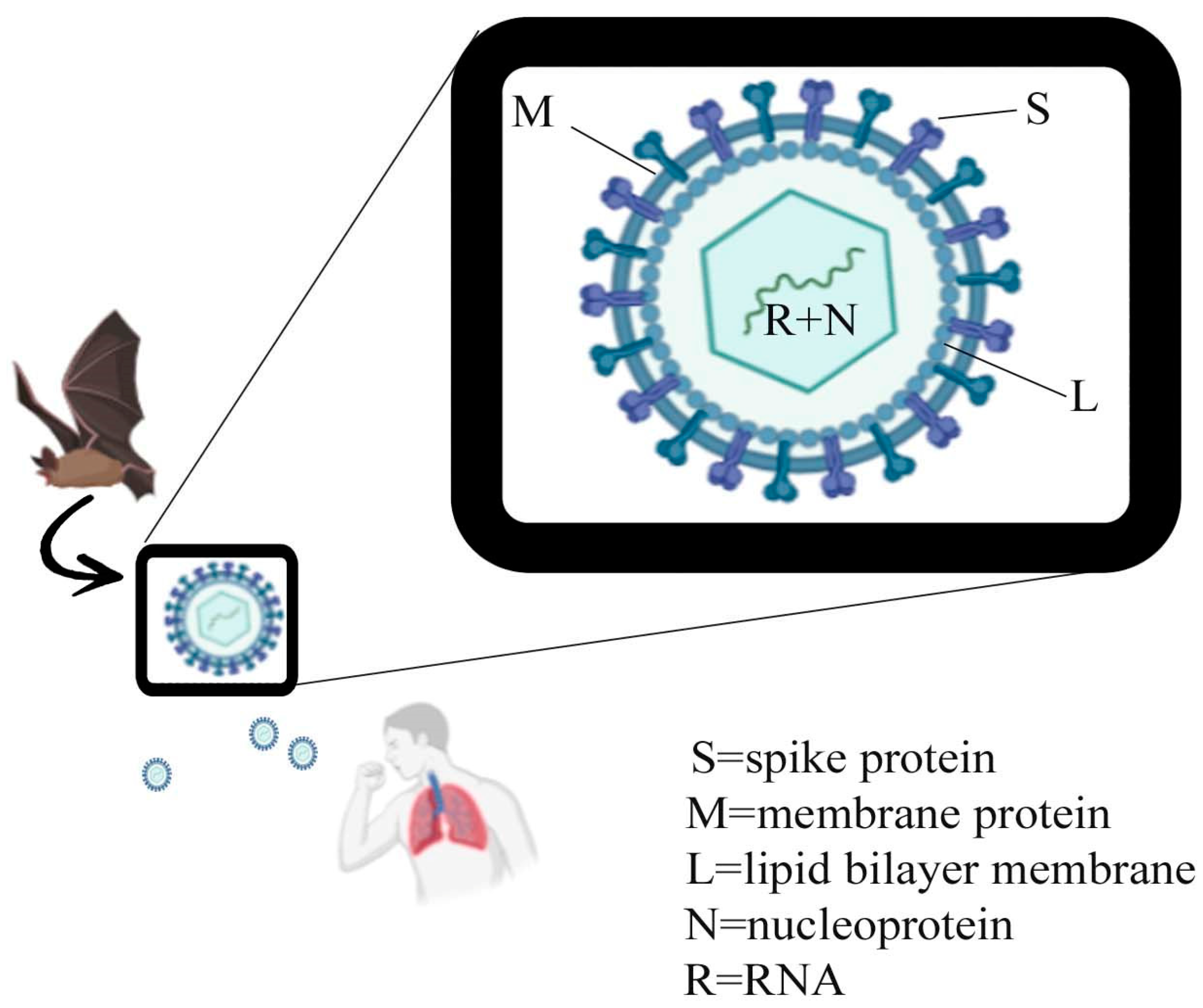 Vaccines 08 00423 g001