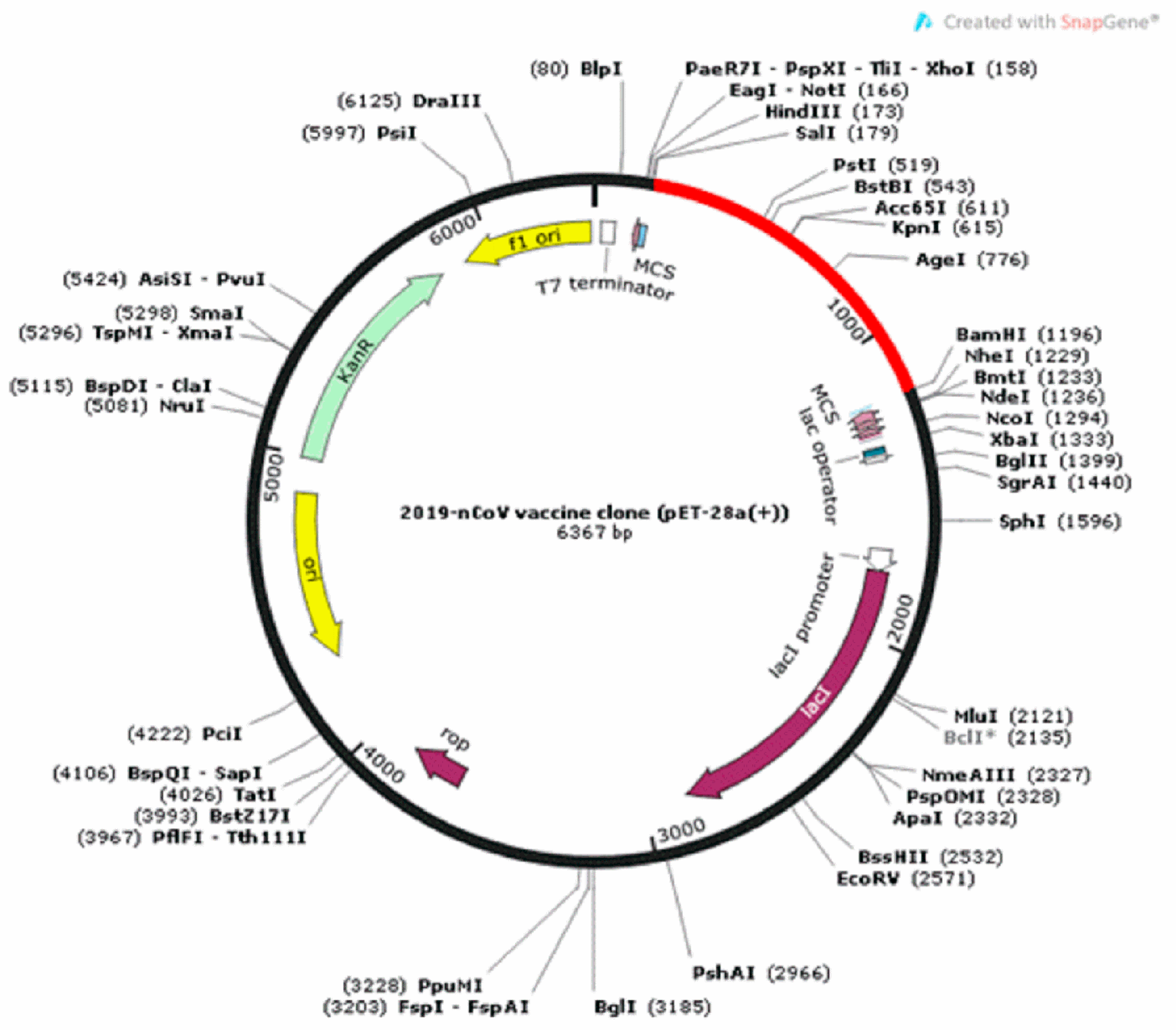 Vaccines 08 00423 g007