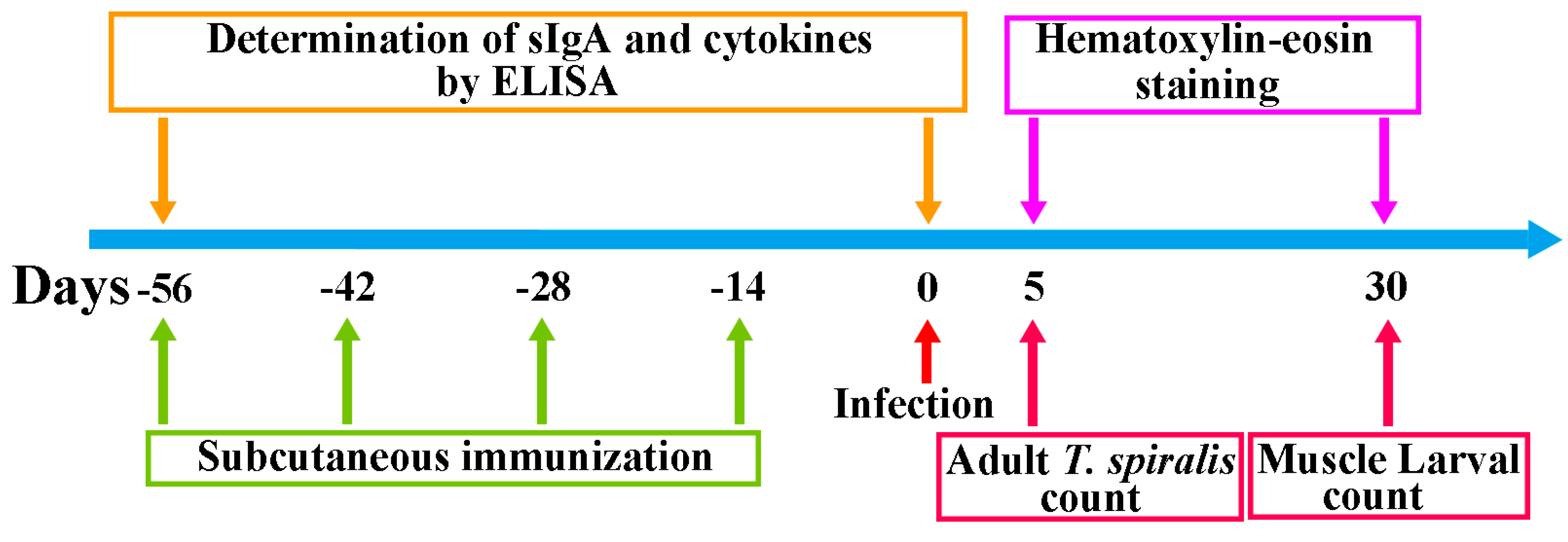 Vaccines 08 00437 g001 Vaccines 08 00437 g001