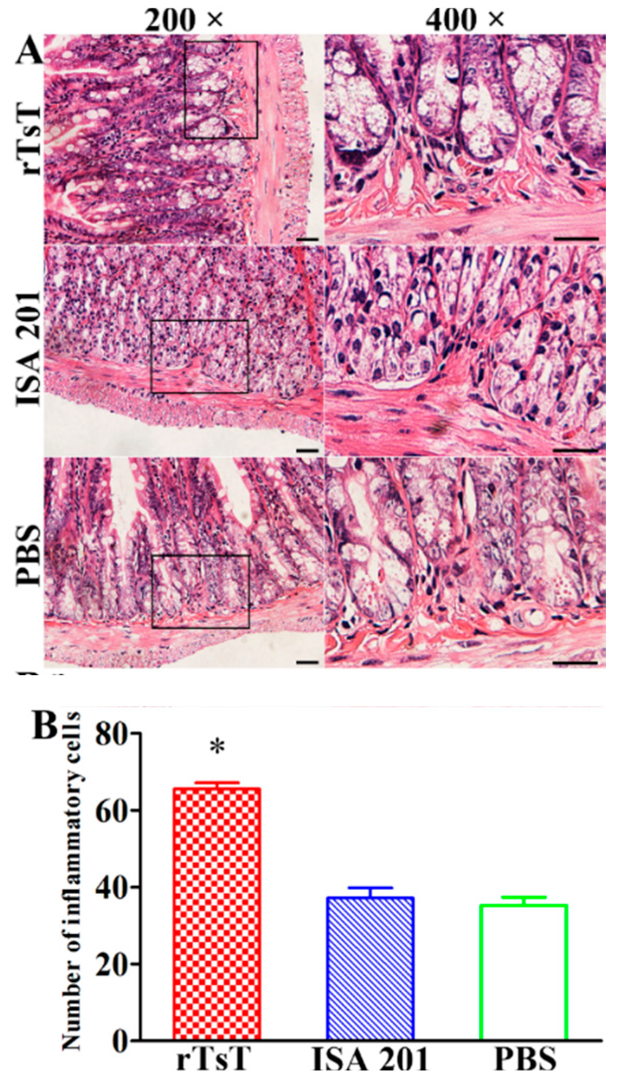 Vaccines 08 00437 g014 Vaccines 08 00437 g014