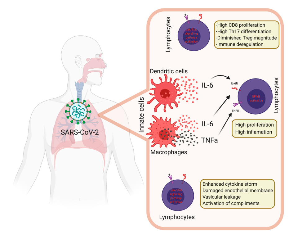 Vaccines 08 00443 g004
