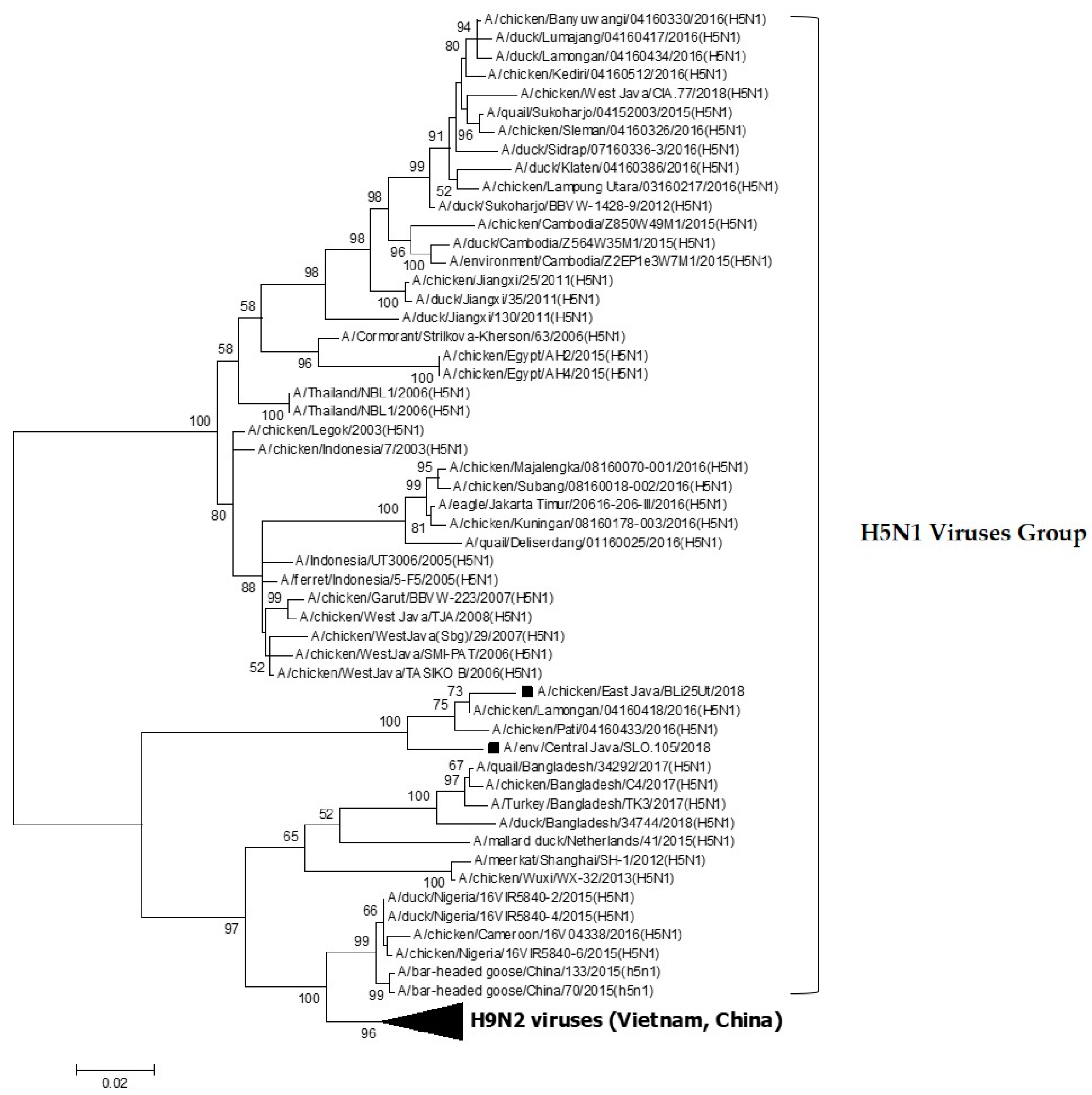 Vaccines 08 00449 g001