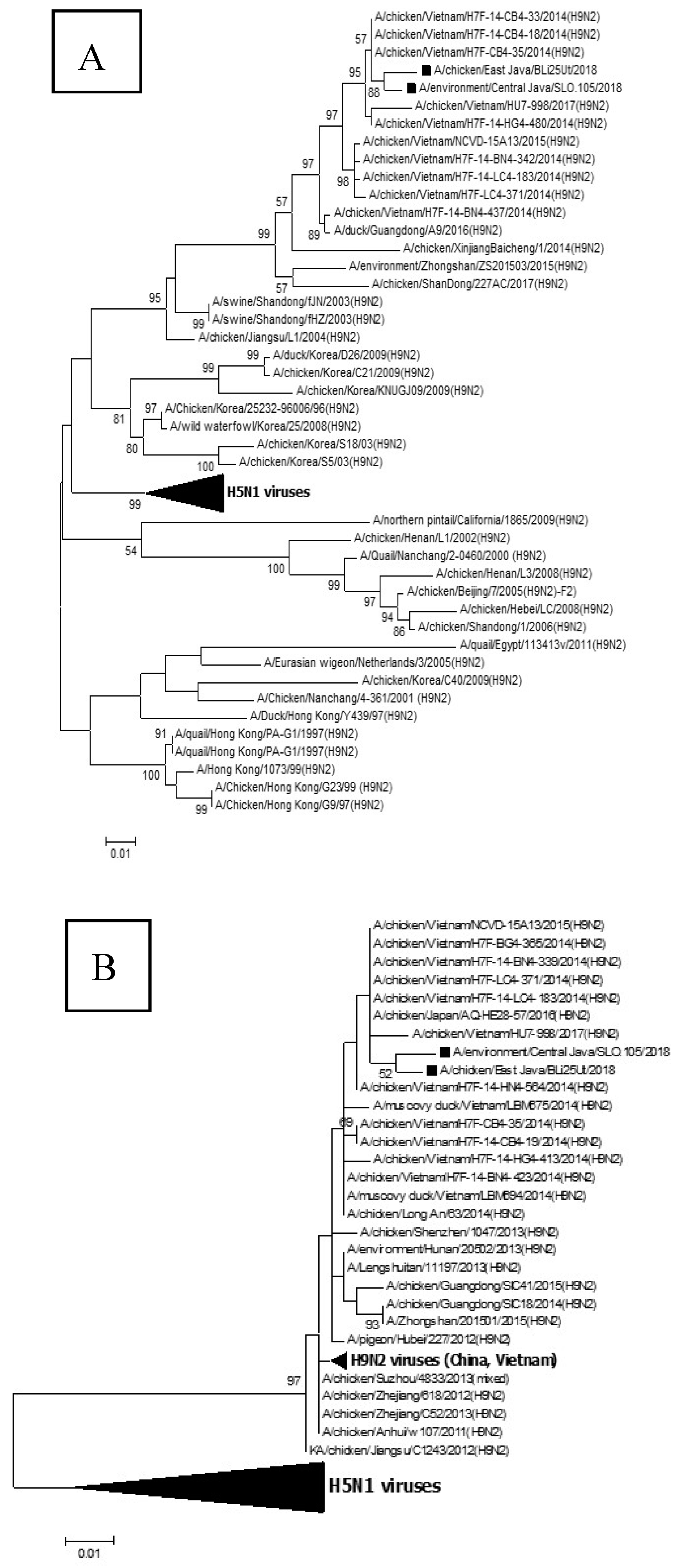 Vaccines 08 00449 g002a