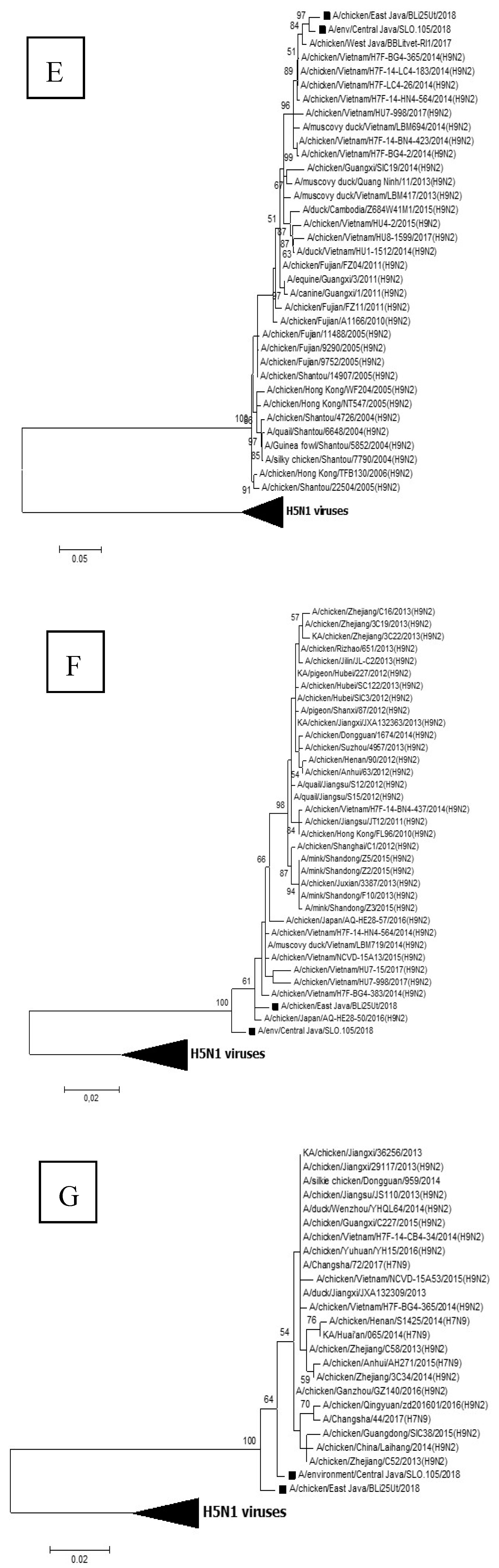 Vaccines 08 00449 g002c