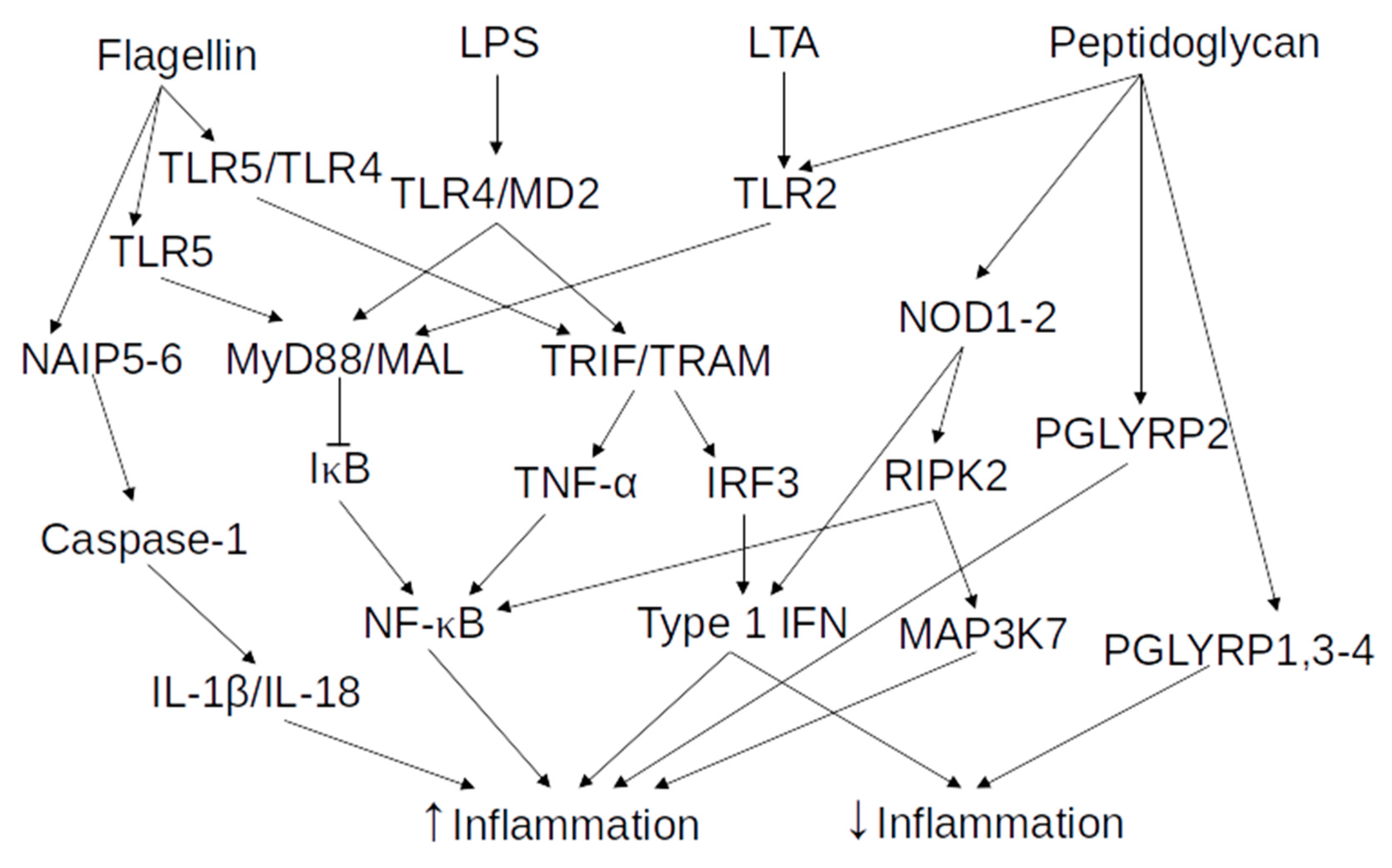 Vaccines 08 00461 g002