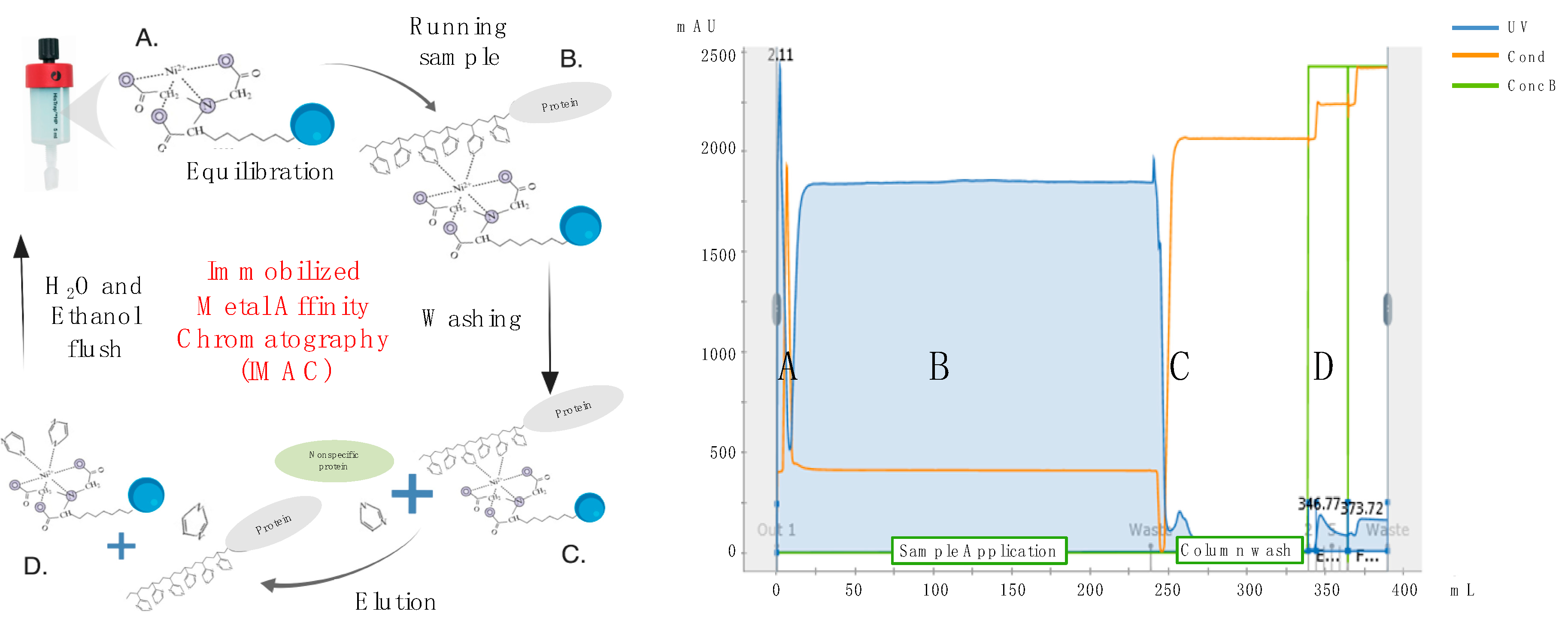 Vaccines 08 00462 g003 Vaccines 08 00462 g003