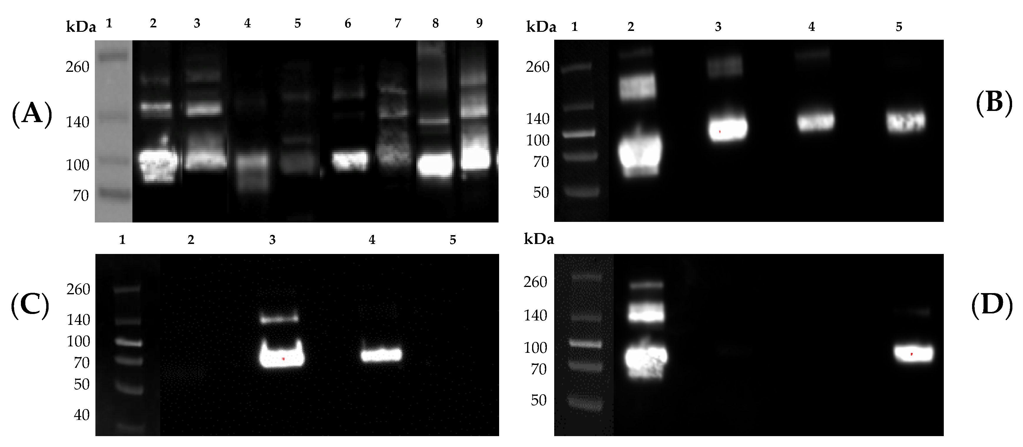 Vaccines 08 00462 g005 Vaccines 08 00462 g005