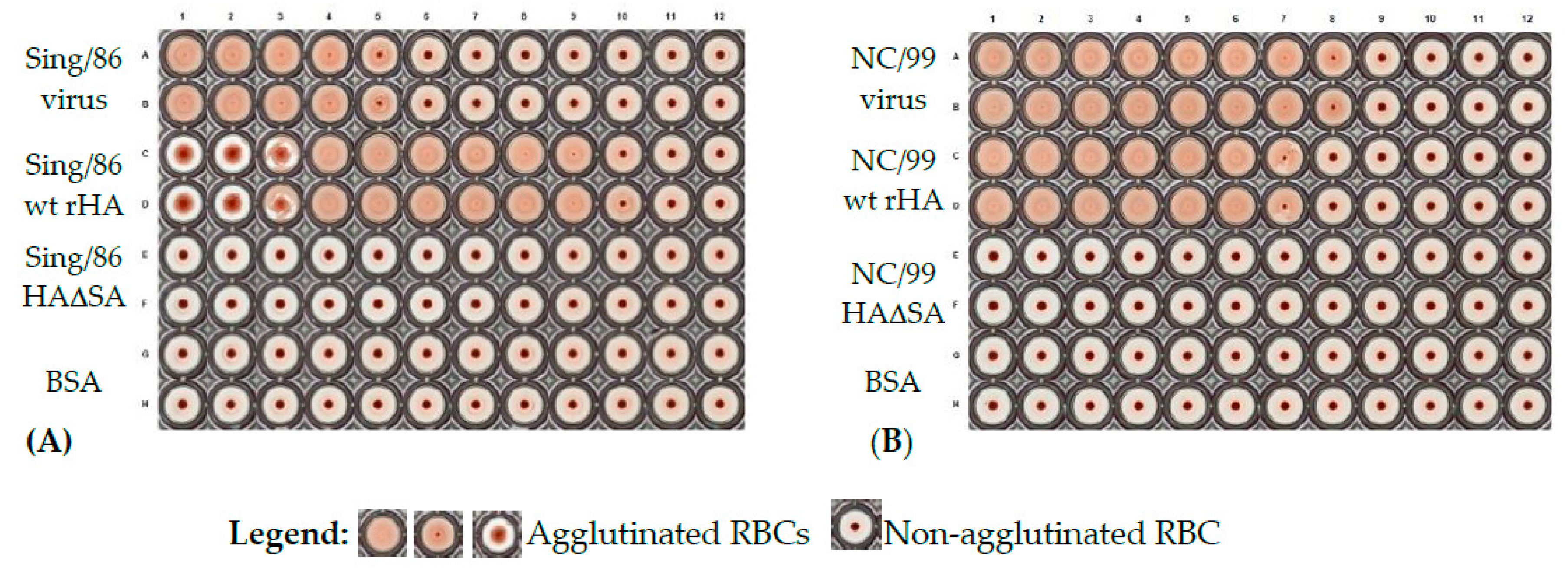 Vaccines 08 00462 g006 Vaccines 08 00462 g006
