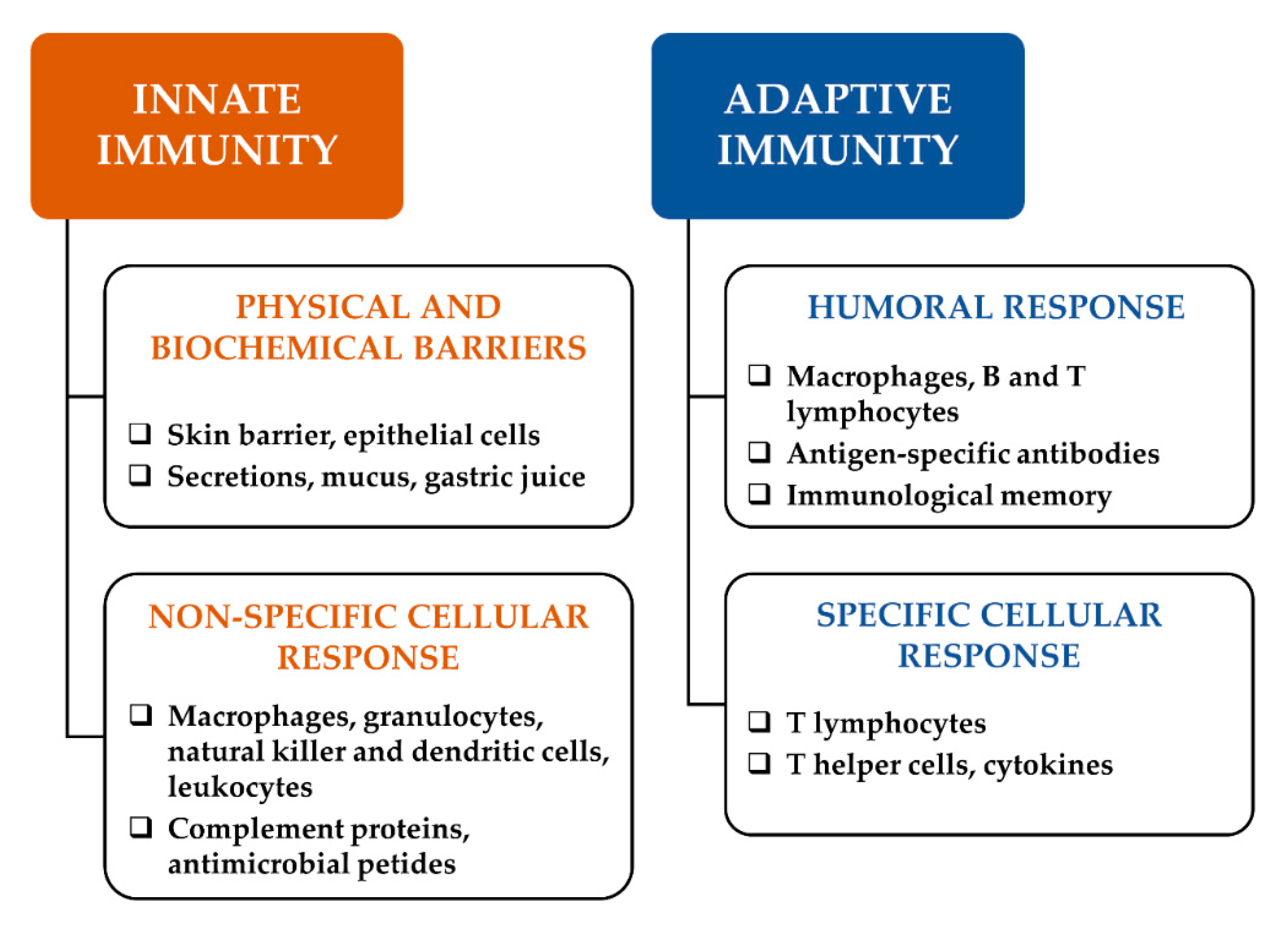 Vaccines 08 00468 g001