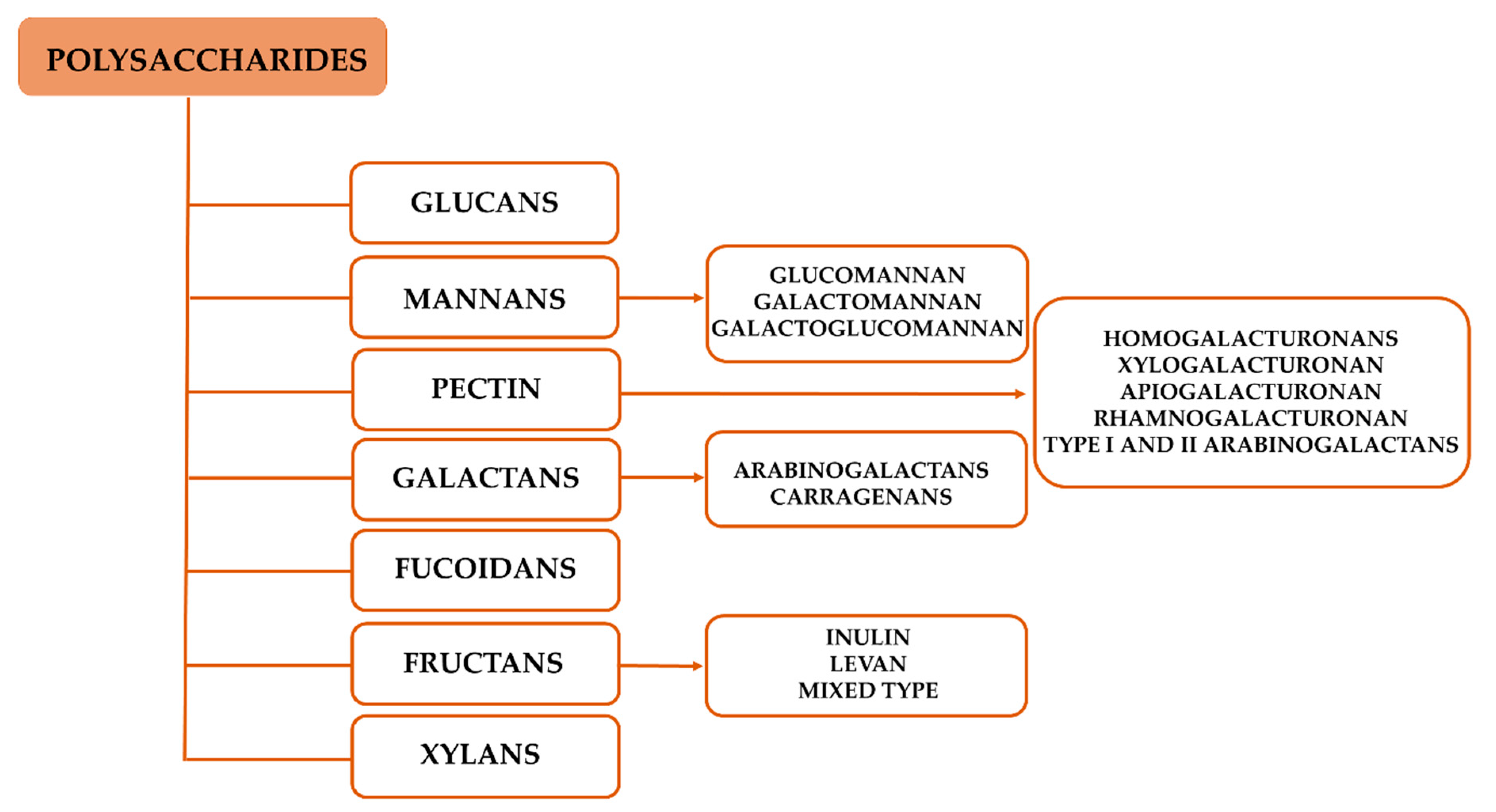 Vaccines 08 00468 g003