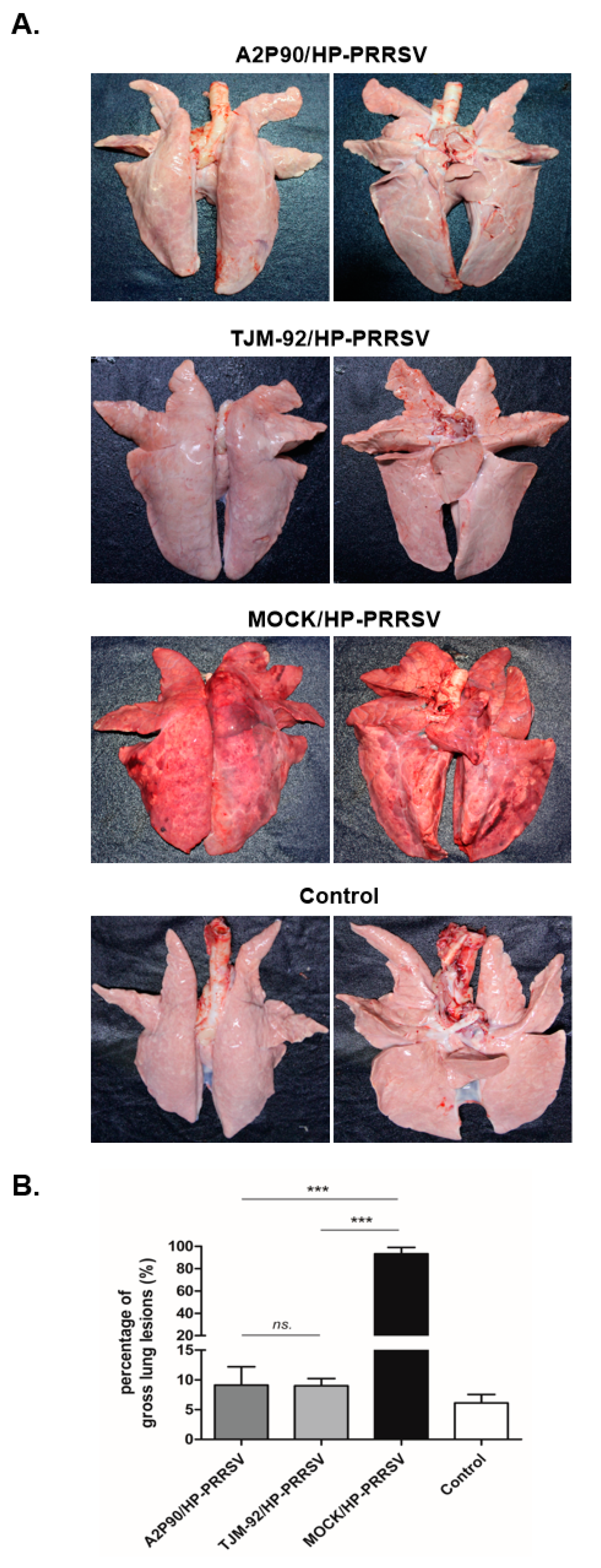 Vaccines 08 00490 g003