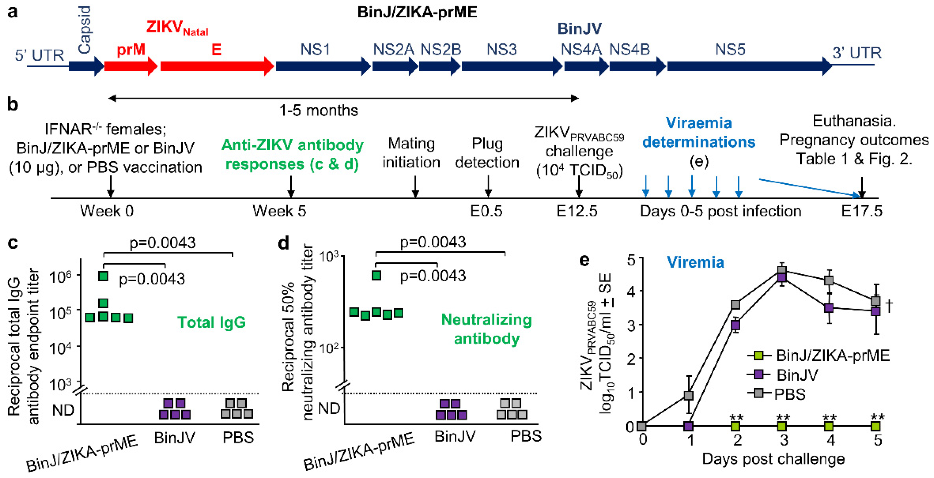 Vaccines 08 00496 g001