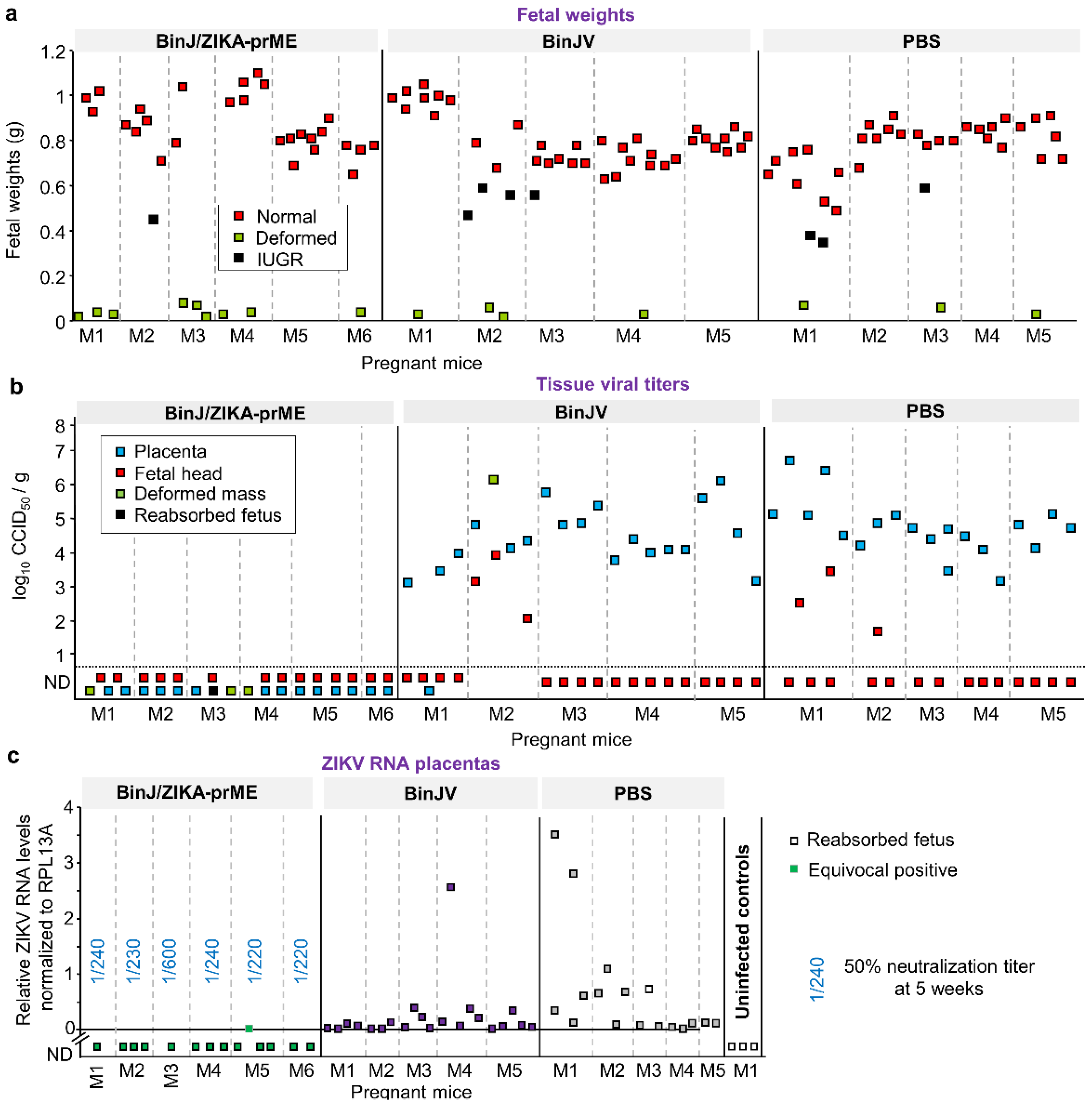 Vaccines 08 00496 g002a