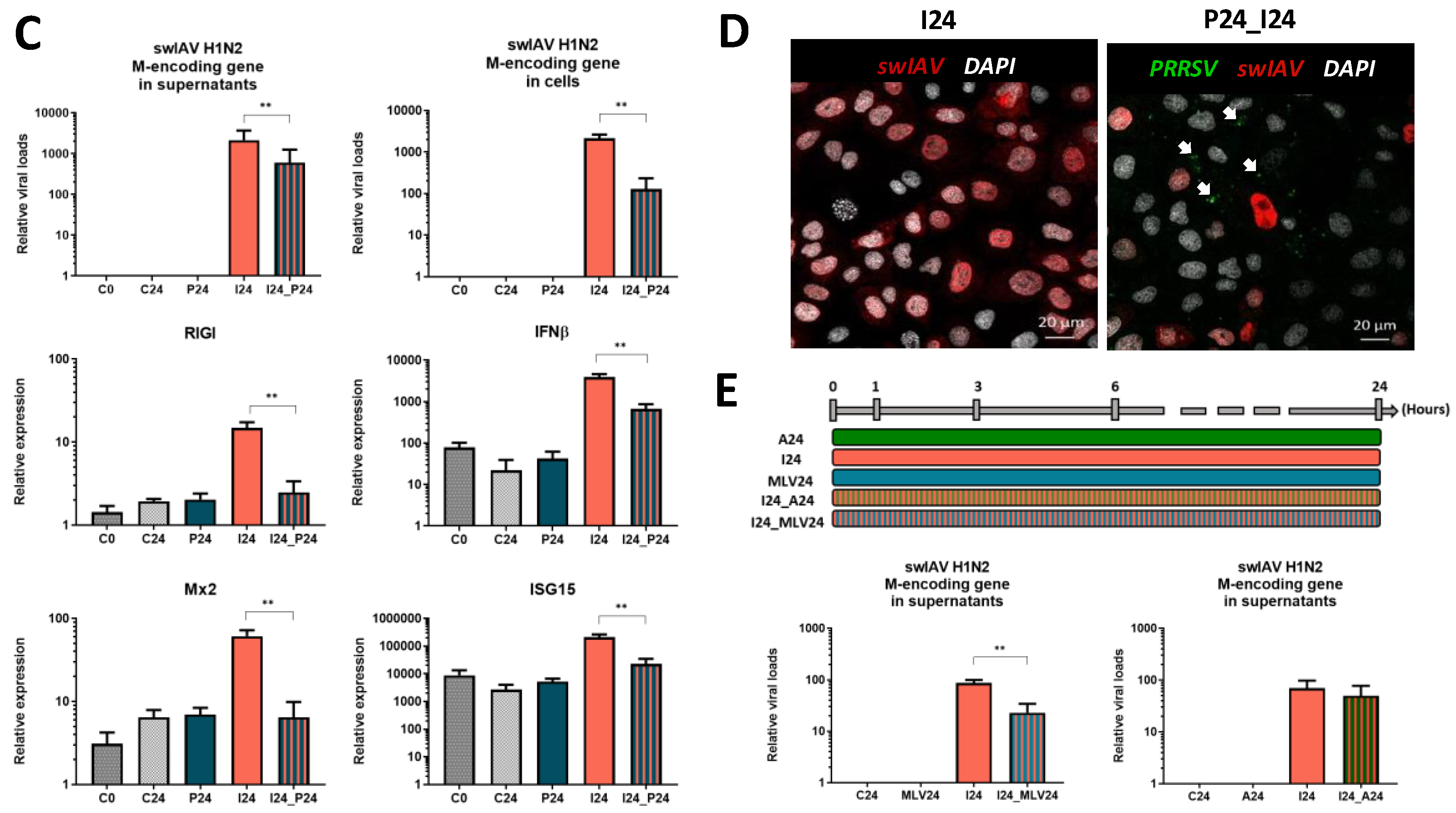 Vaccines 08 00508 g001b