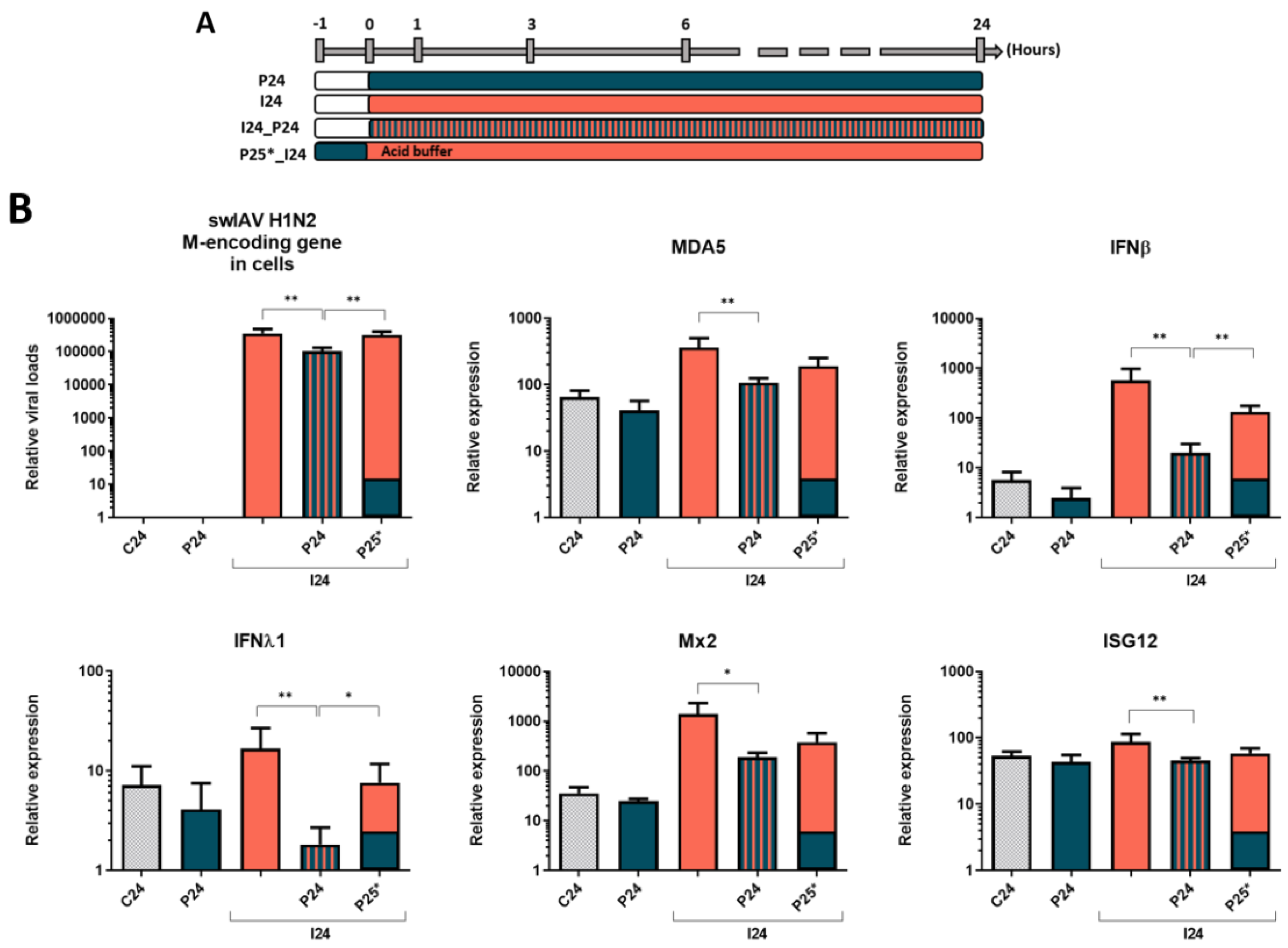 Vaccines 08 00508 g003