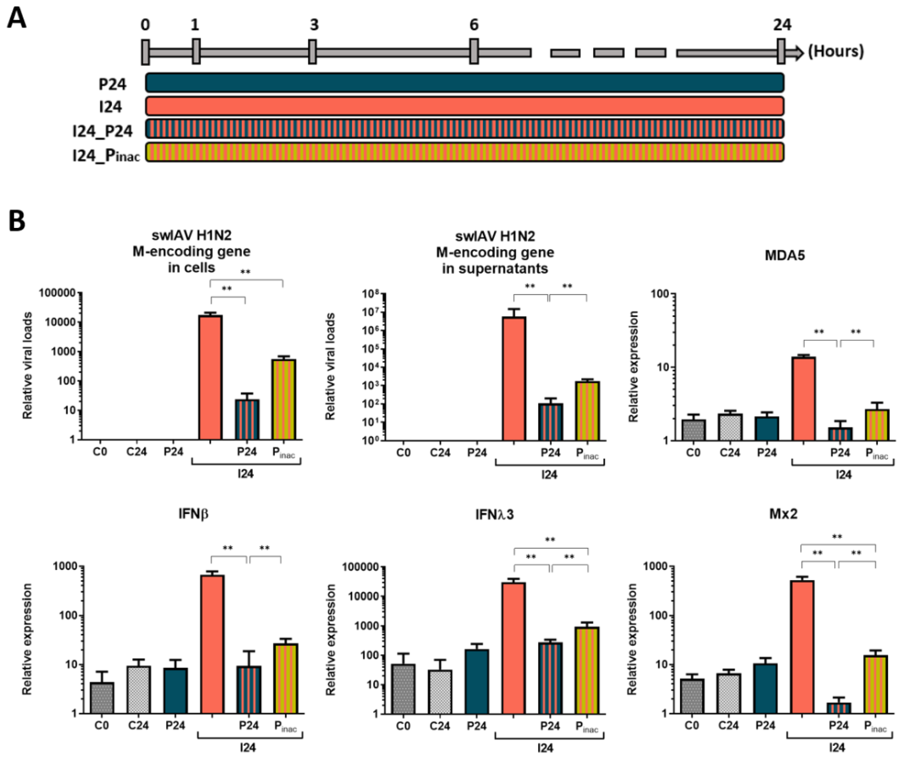 Vaccines 08 00508 g004