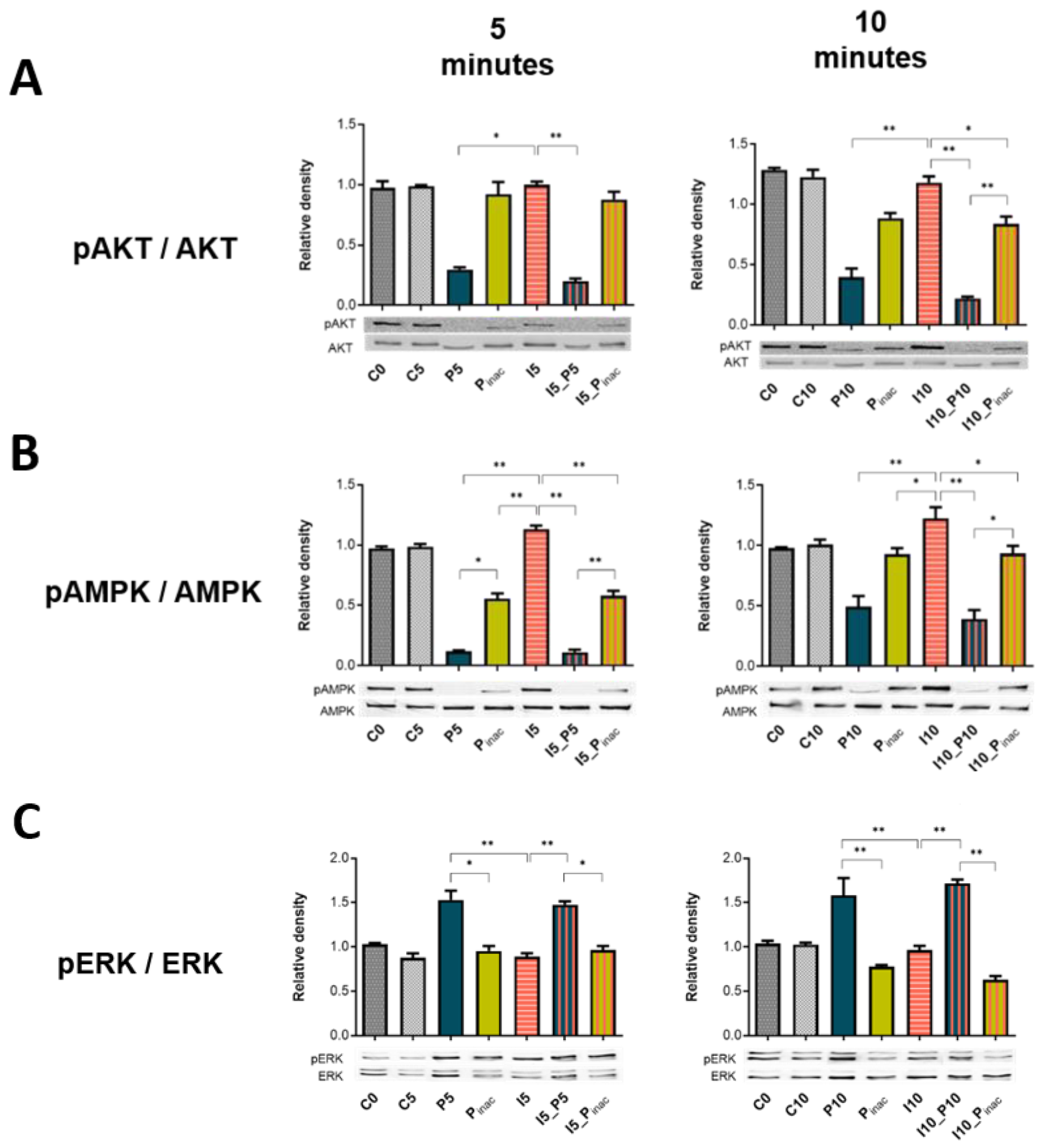 Vaccines 08 00508 g006a