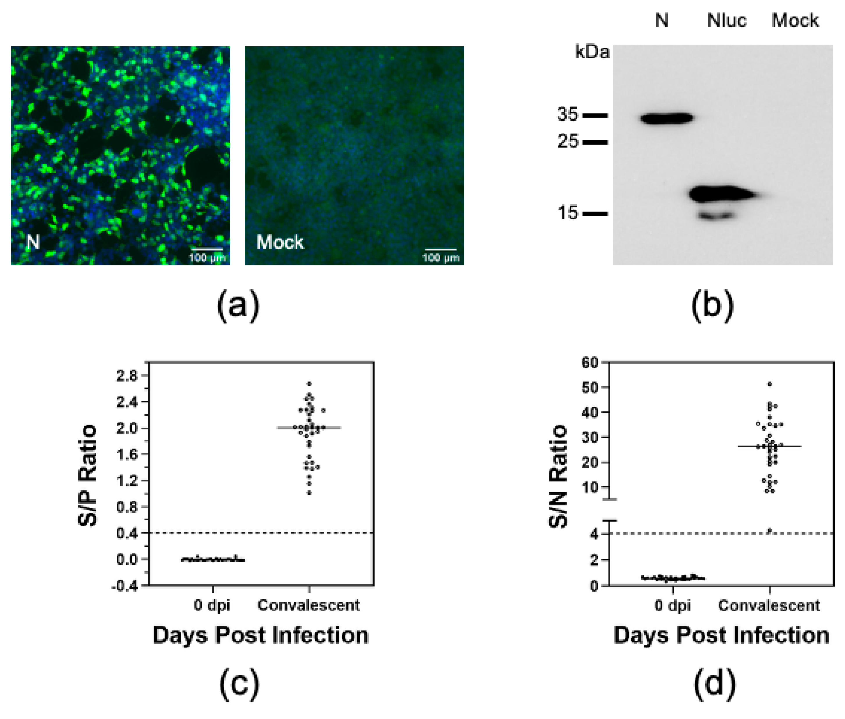 Vaccines 08 00533 g002