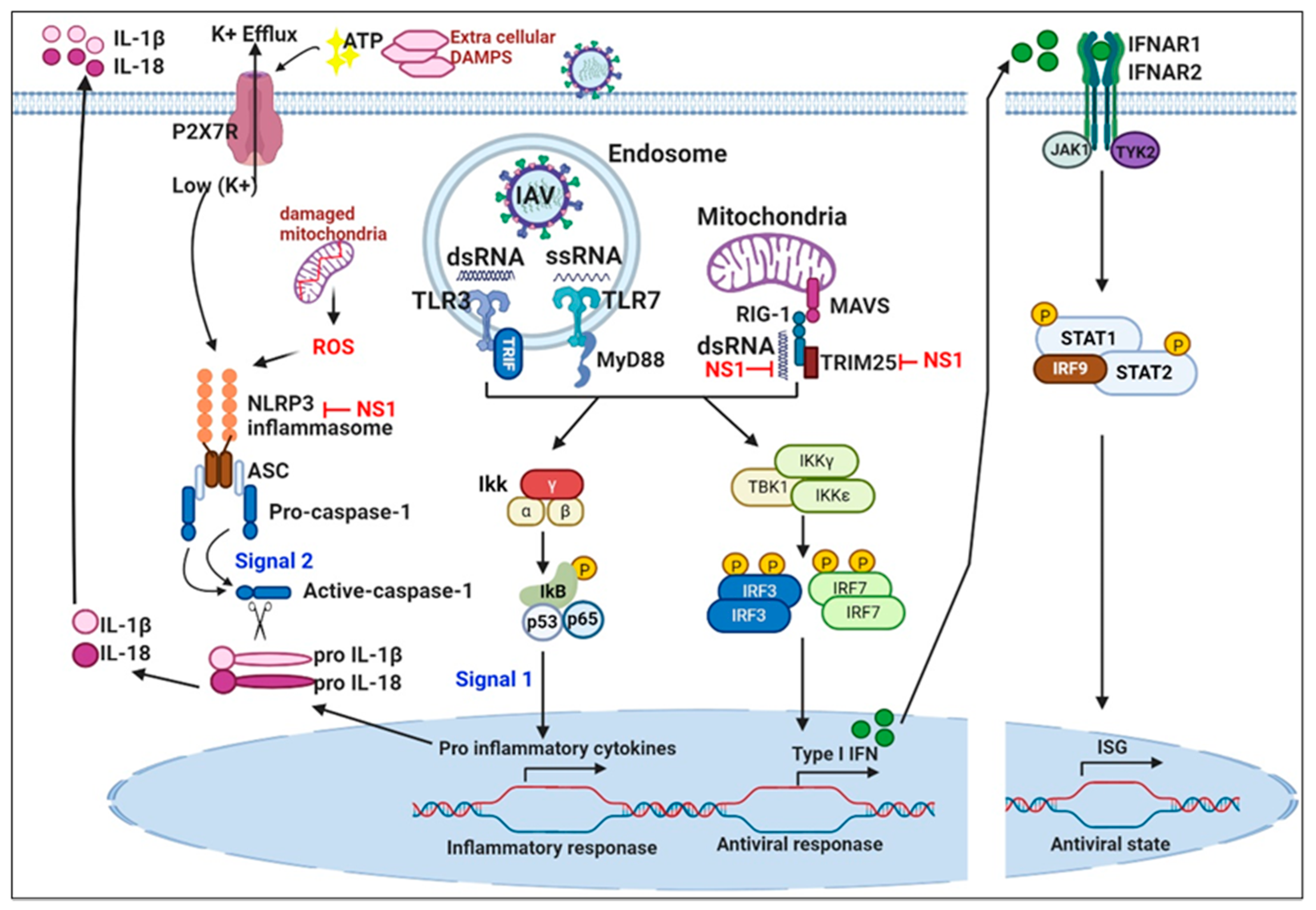 Vaccines 08 00548 g002