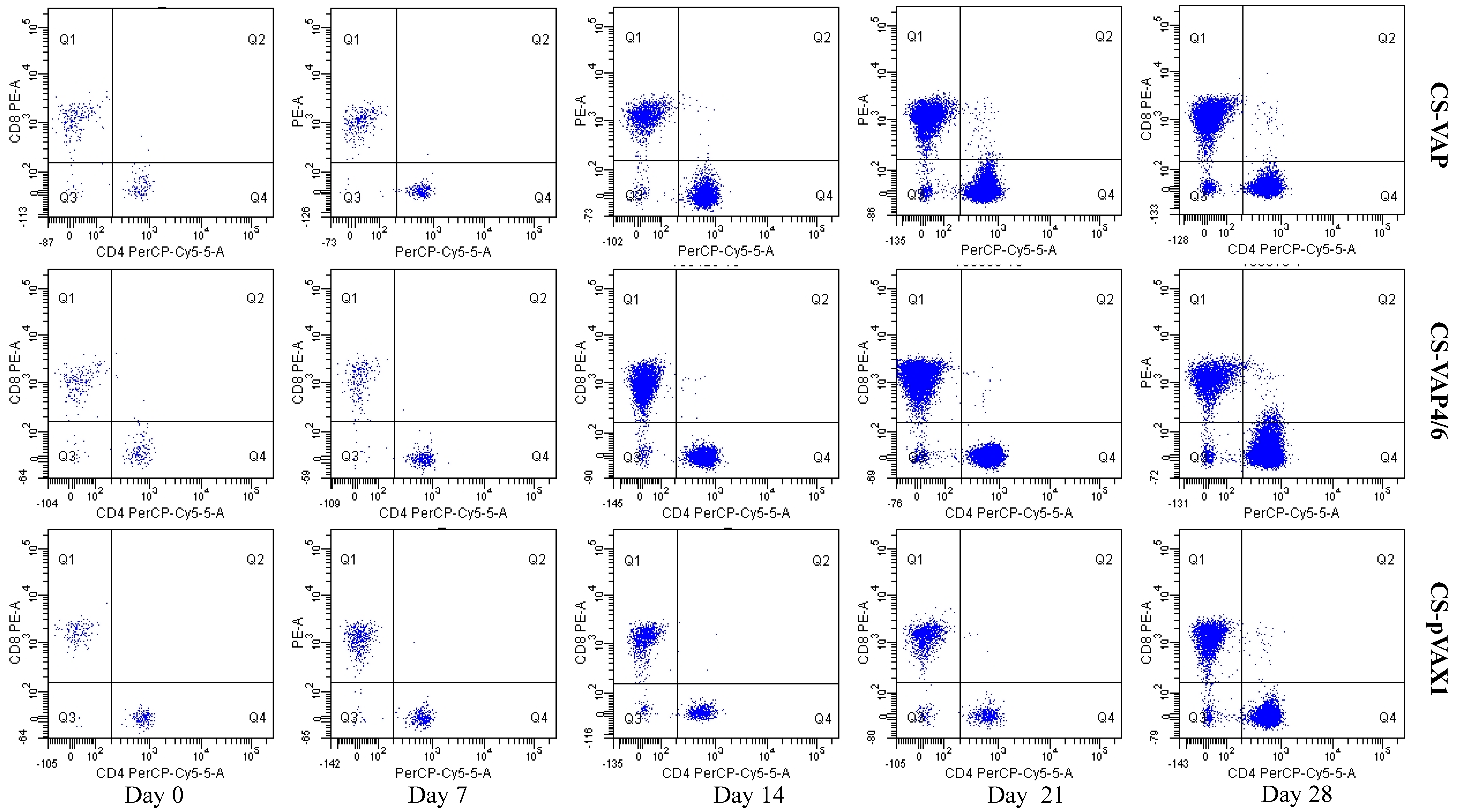 Vaccines 08 00552 g005