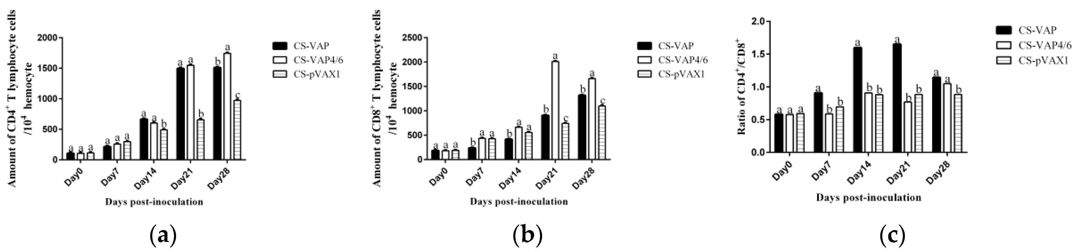 Vaccines 08 00552 g006