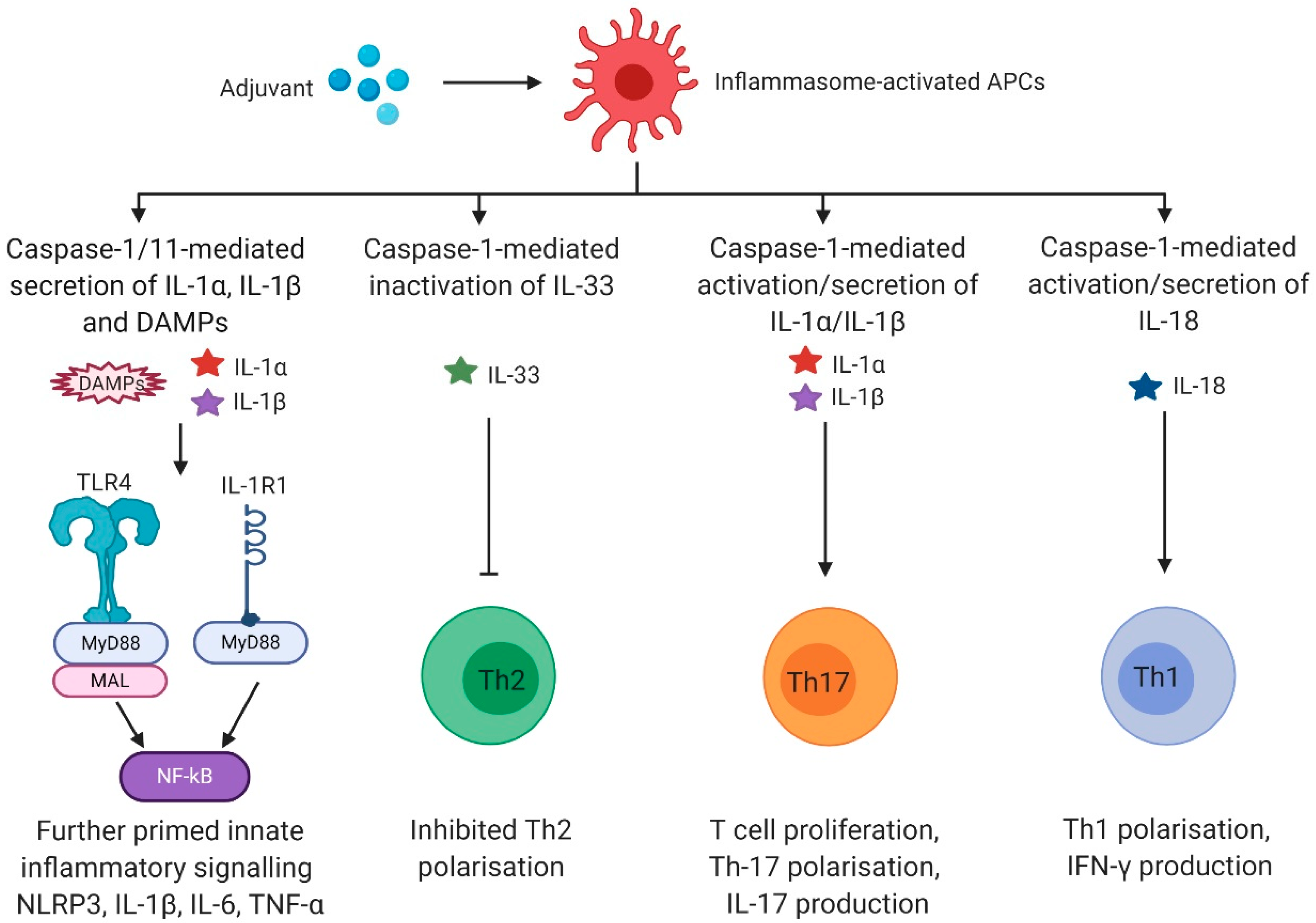 Vaccines 08 00554 g002