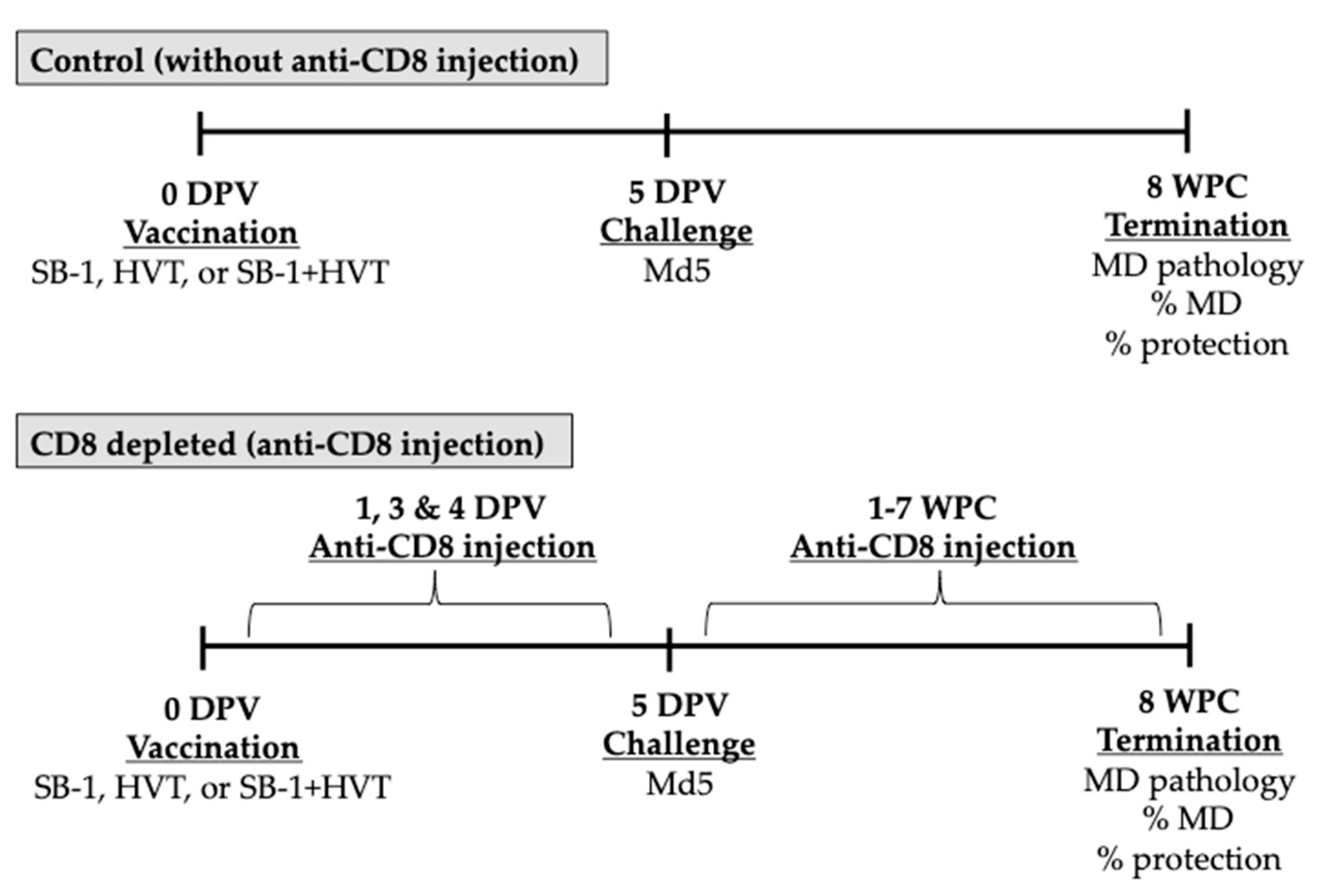 Vaccines 08 00557 g001