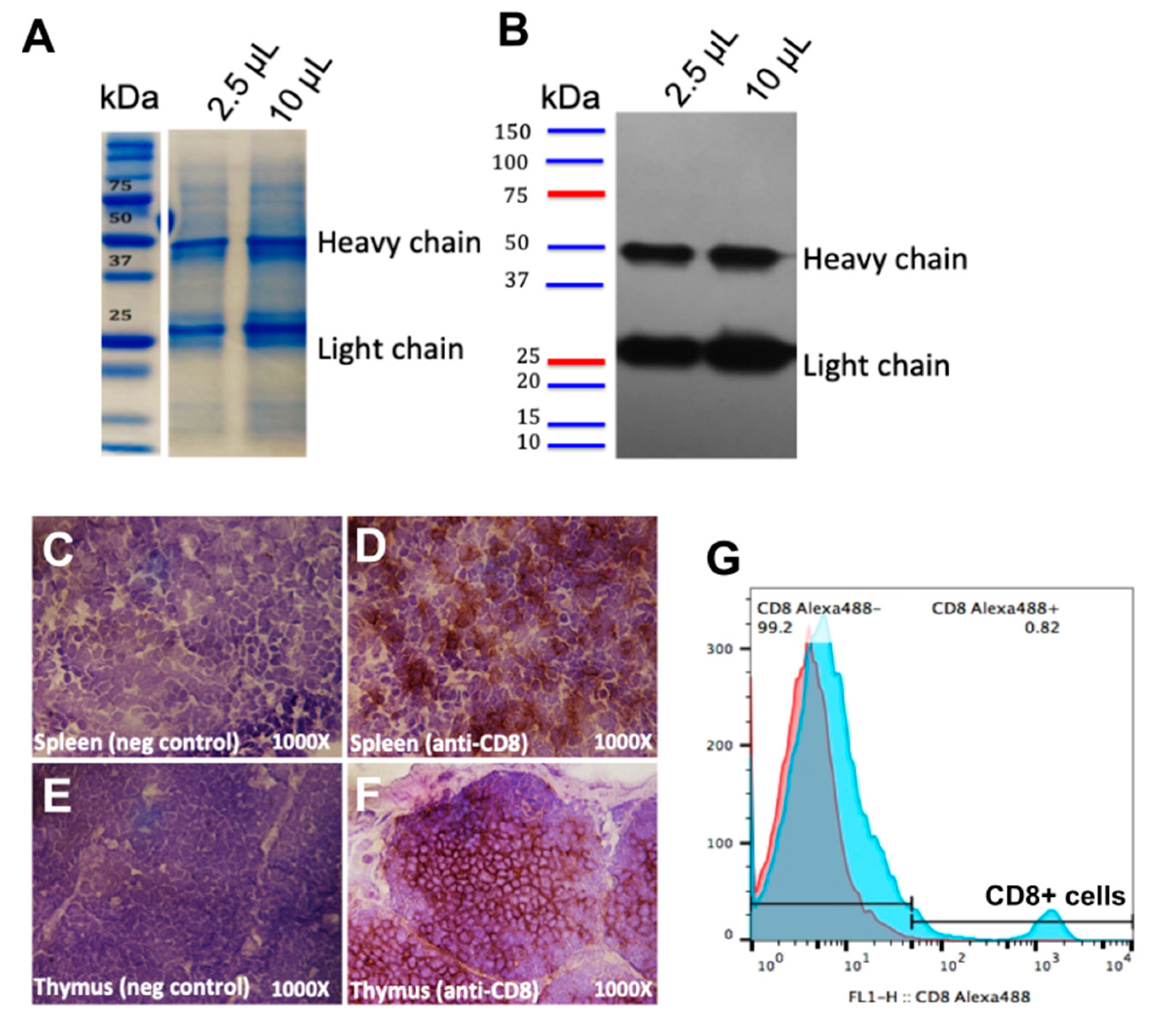 Vaccines 08 00557 g002