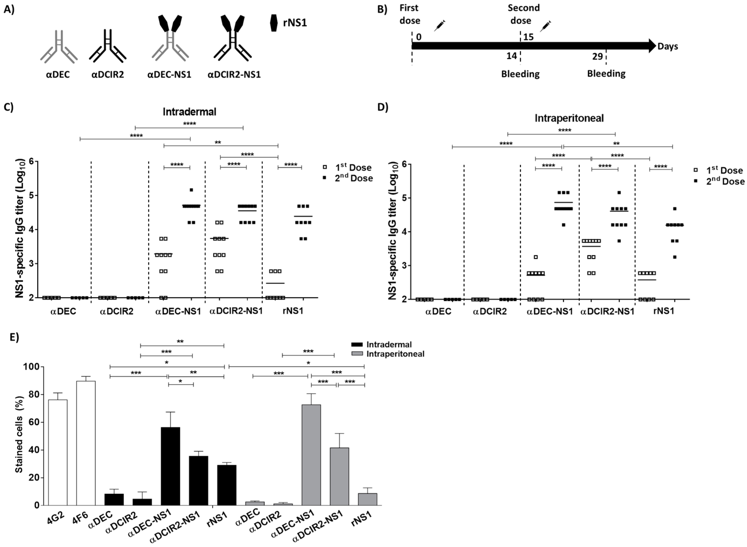 Vaccines 08 00565 g001