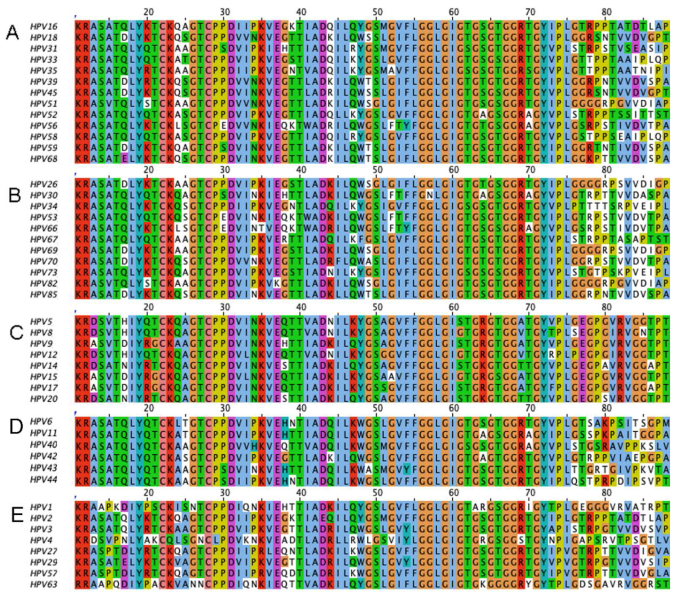 Vaccines 08 00568 g001