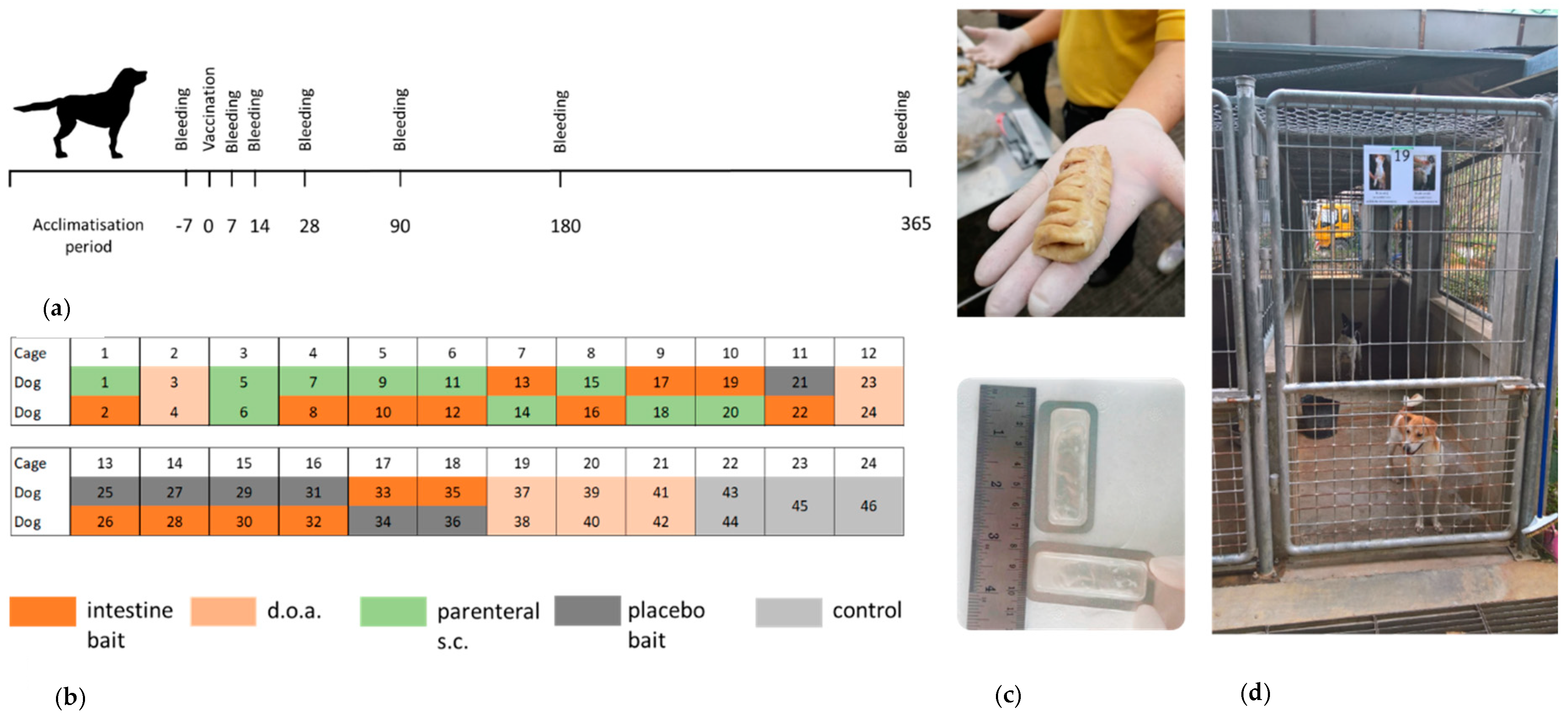 Vaccines 08 00573 g001