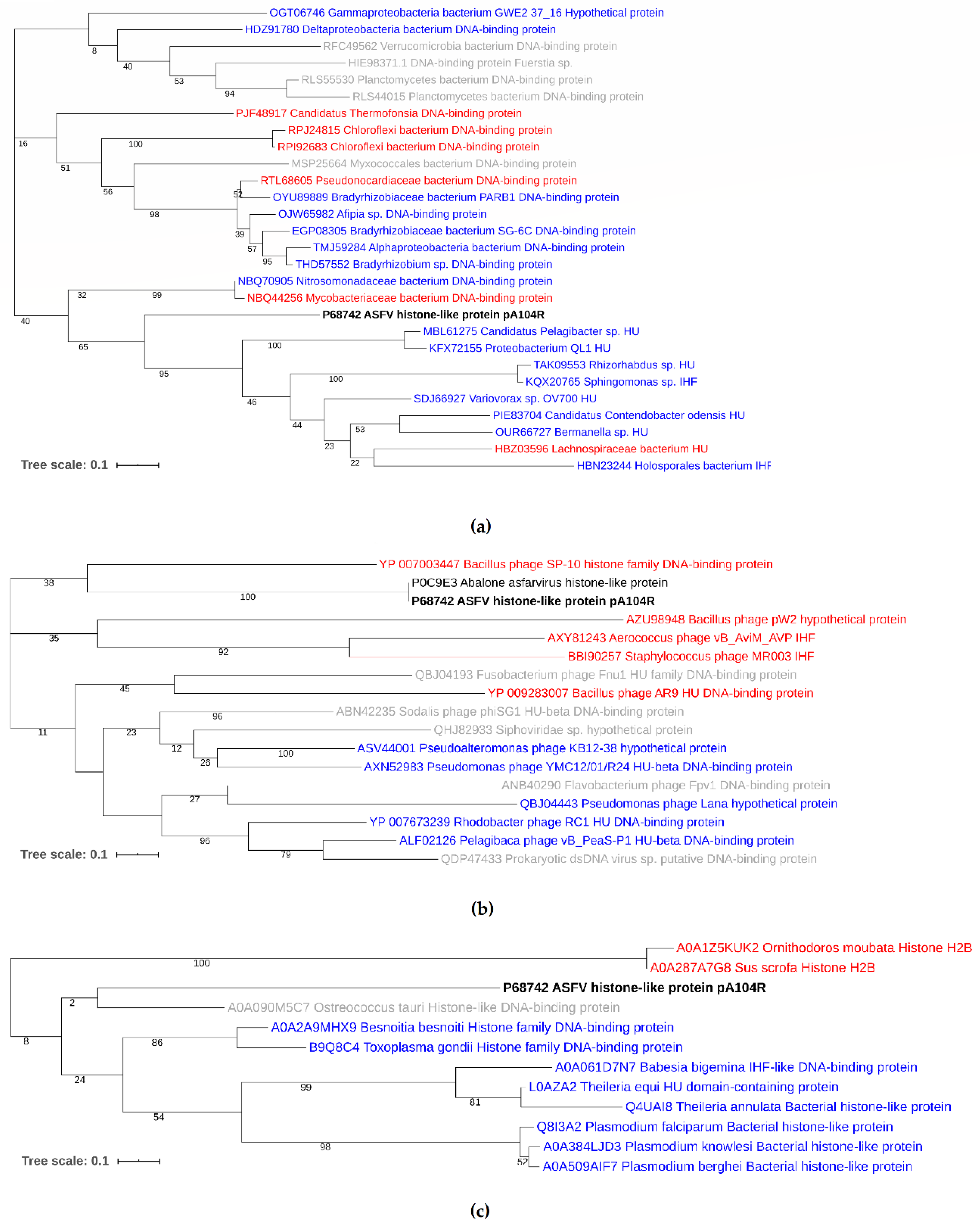 Vaccines 08 00585 g002 Vaccines 08 00585 g002