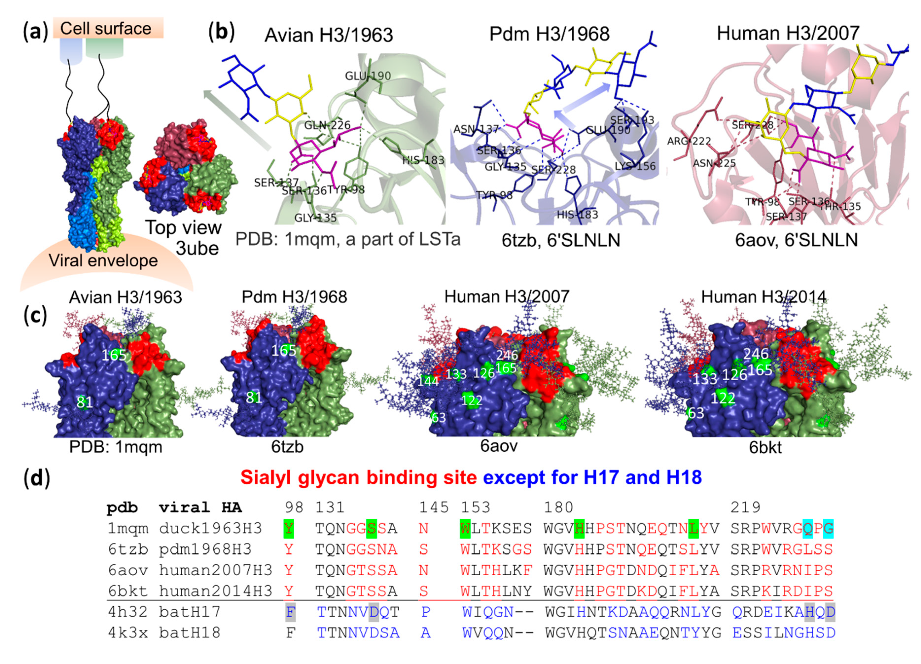 Vaccines 08 00587 g003 Vaccines 08 00587 g003