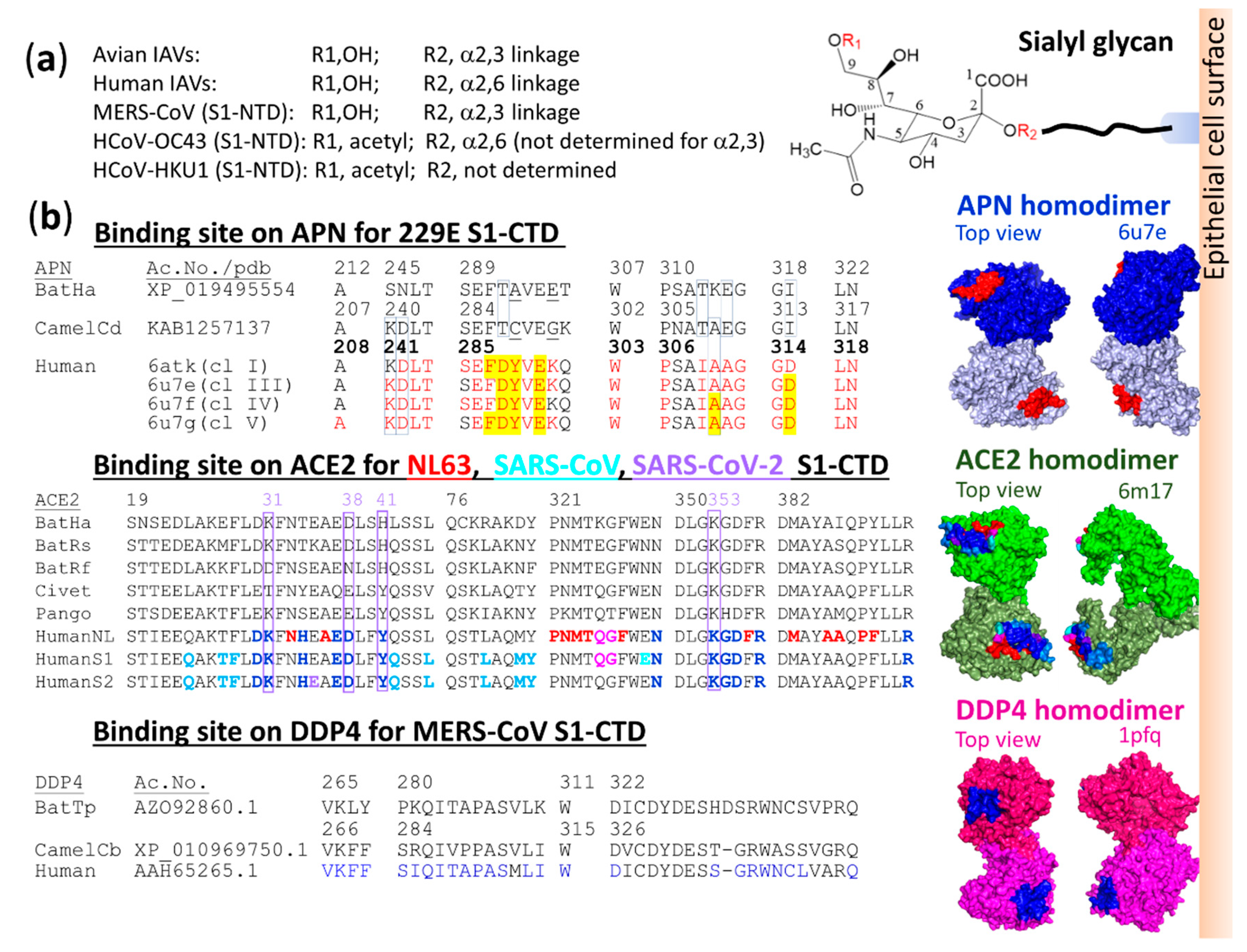 Vaccines 08 00587 g004 Vaccines 08 00587 g004