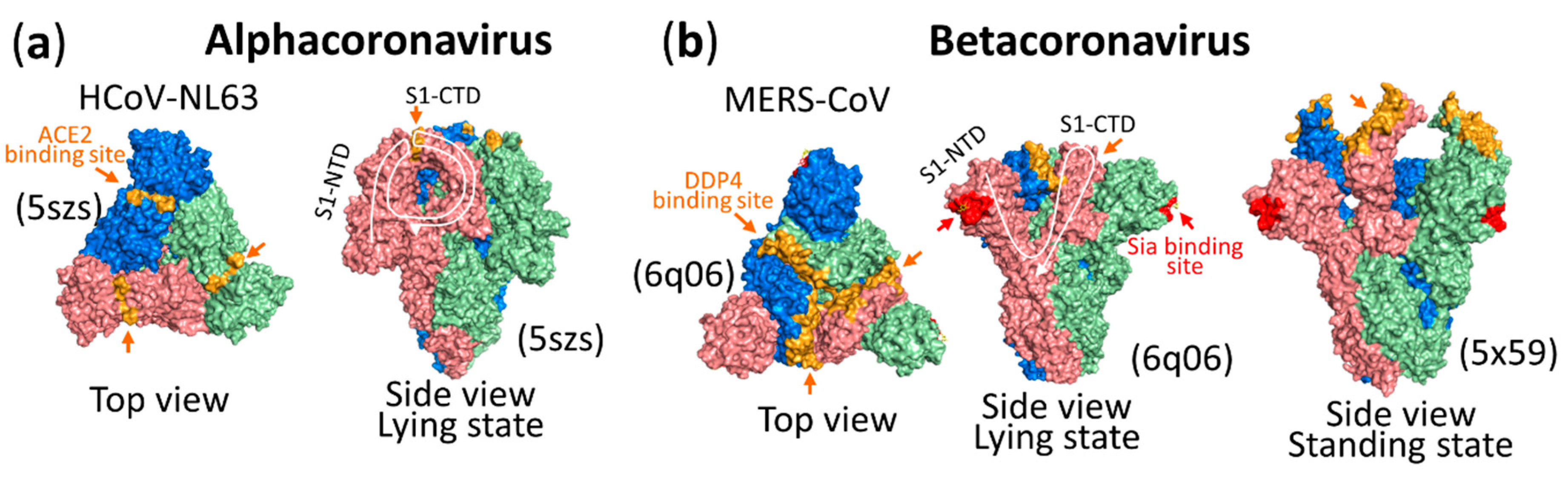 Vaccines 08 00587 g006 Vaccines 08 00587 g006