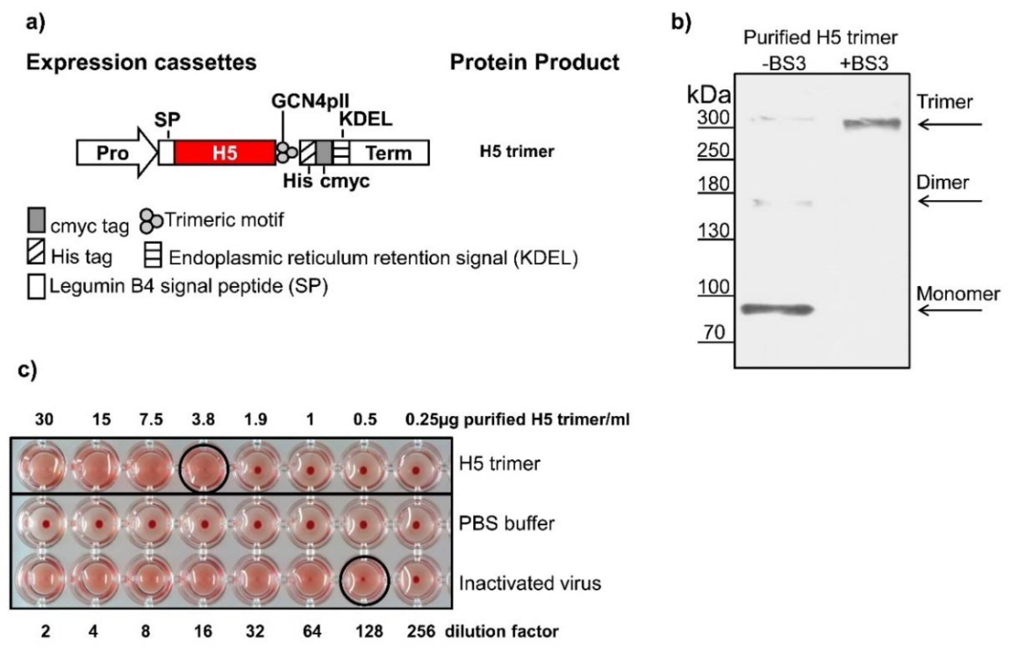 Vaccines 08 00593 g001