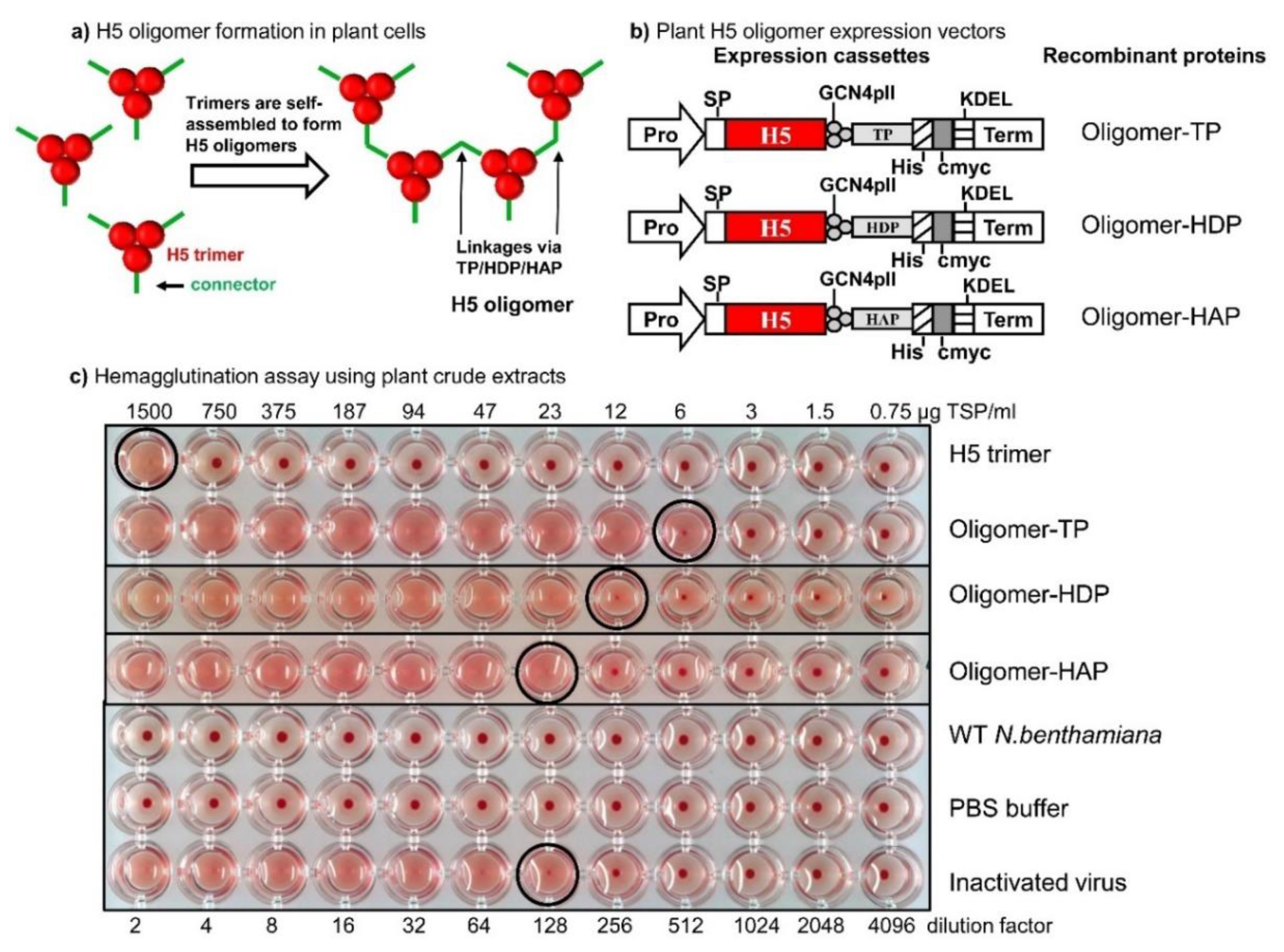Vaccines 08 00593 g003