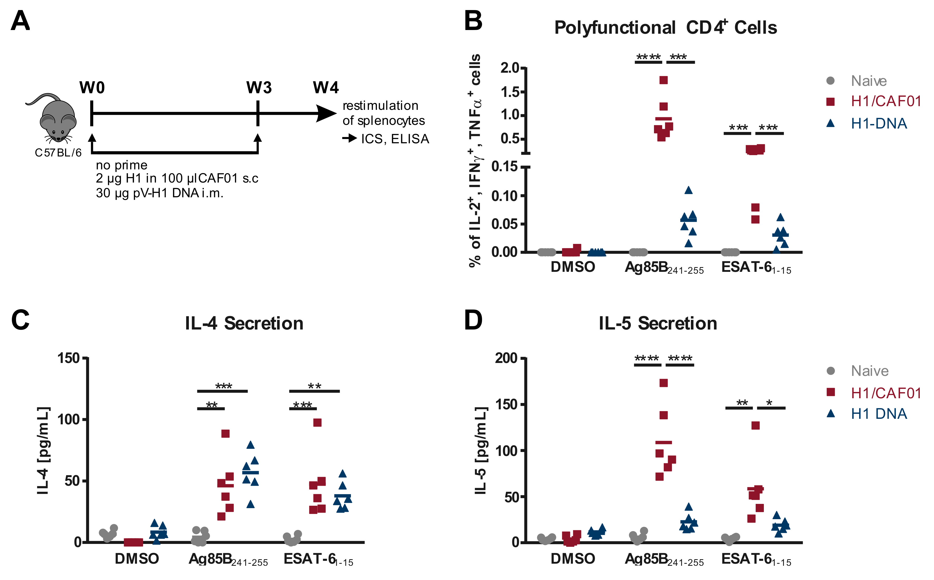 Vaccines 08 00604 g001