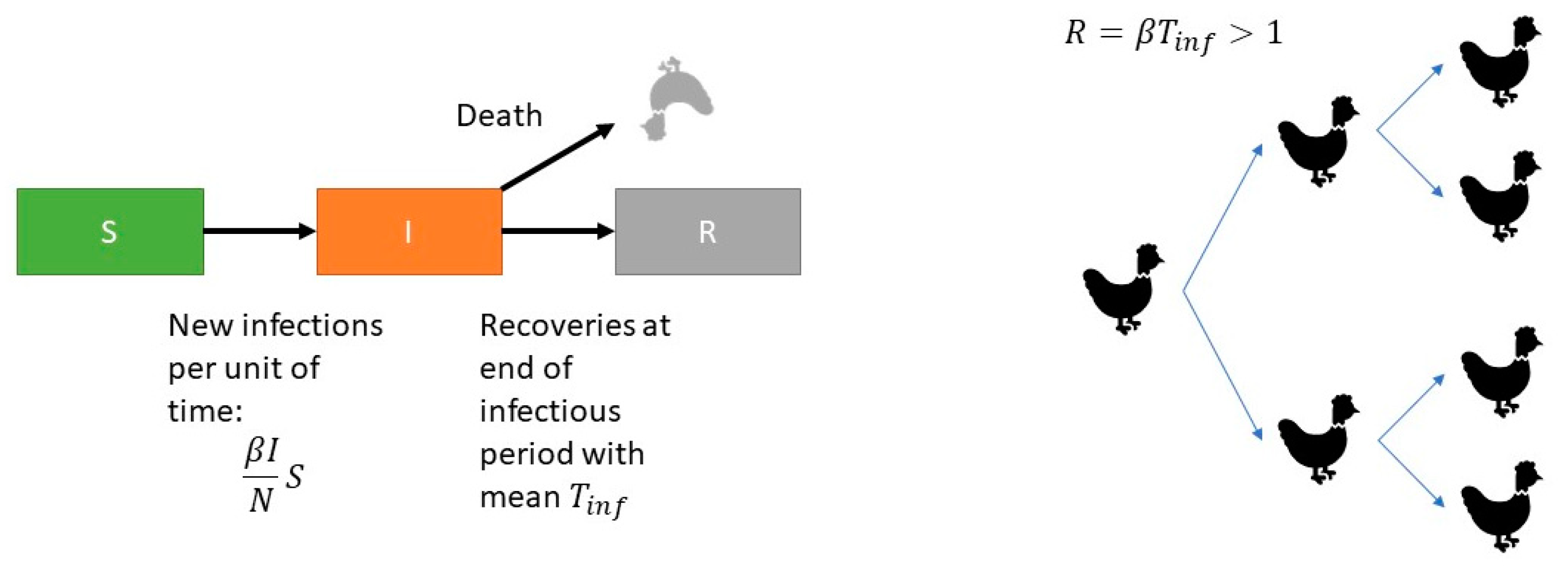 Vaccines 08 00614 g001