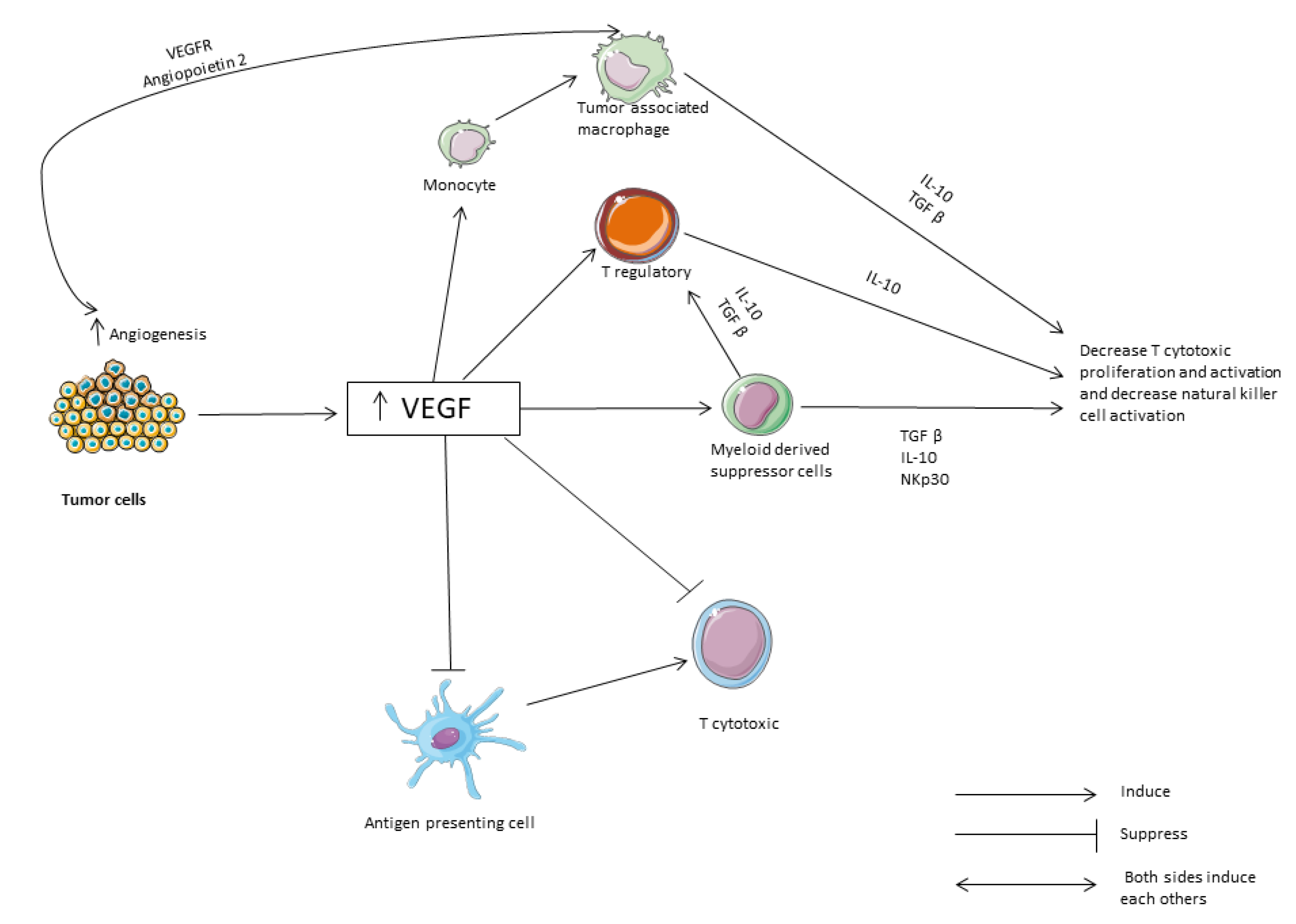 Vaccines 08 00616 g002