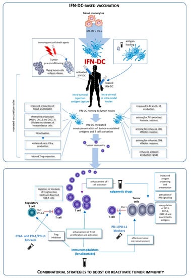 Vaccines 08 00617 g001