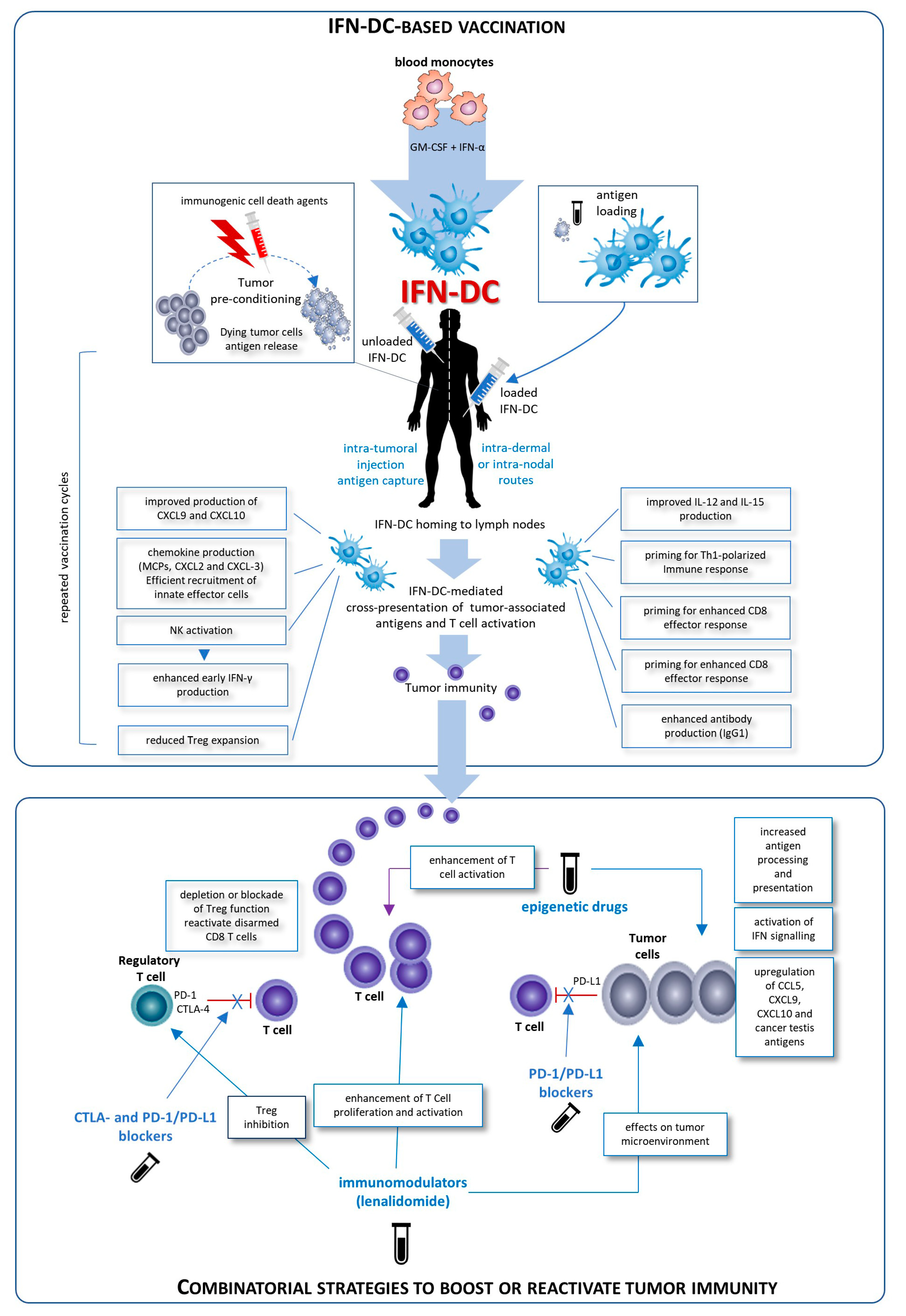 Vaccines 08 00617 g001