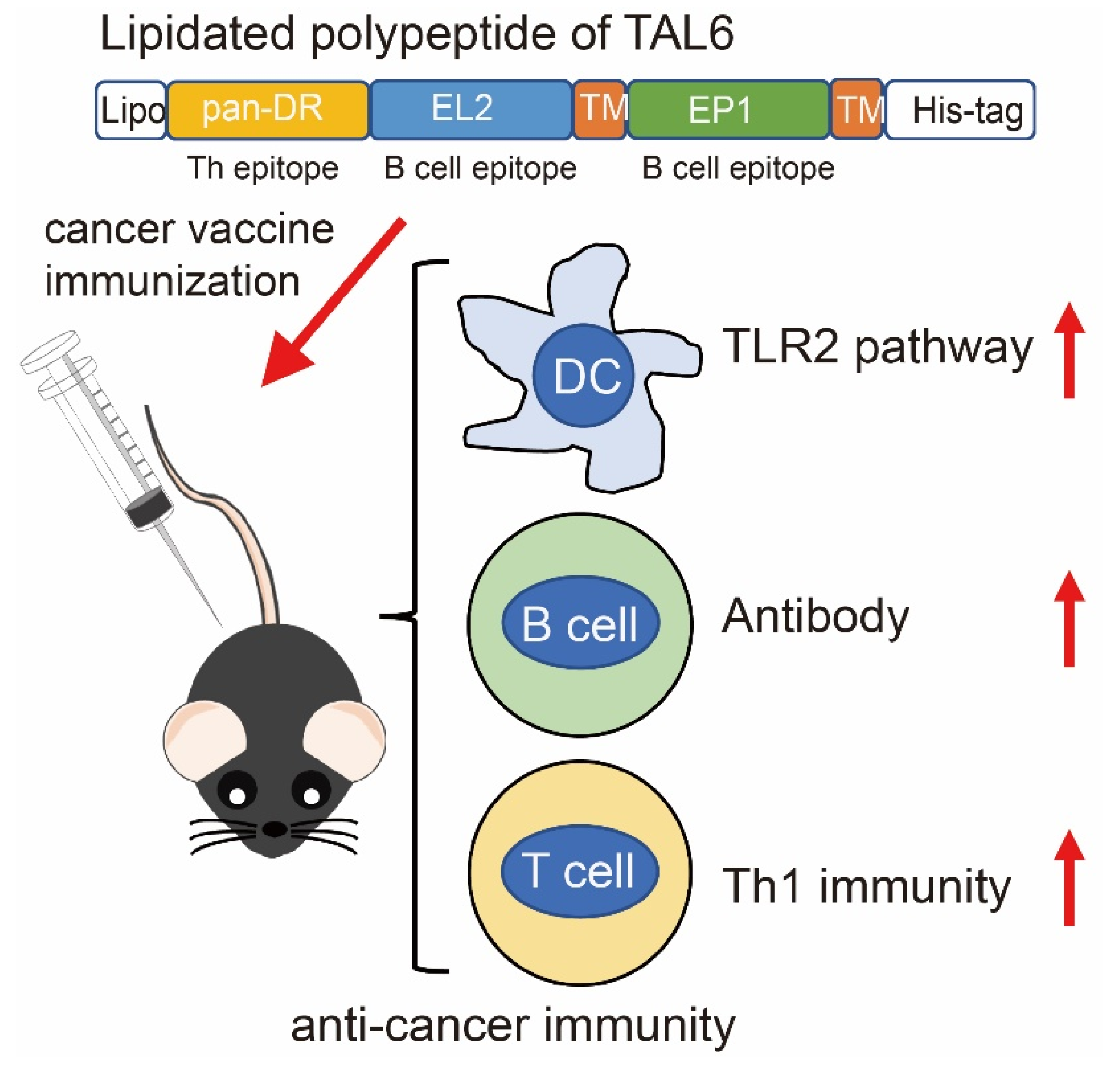Vaccines 08 00620 g008 Vaccines 08 00620 g008