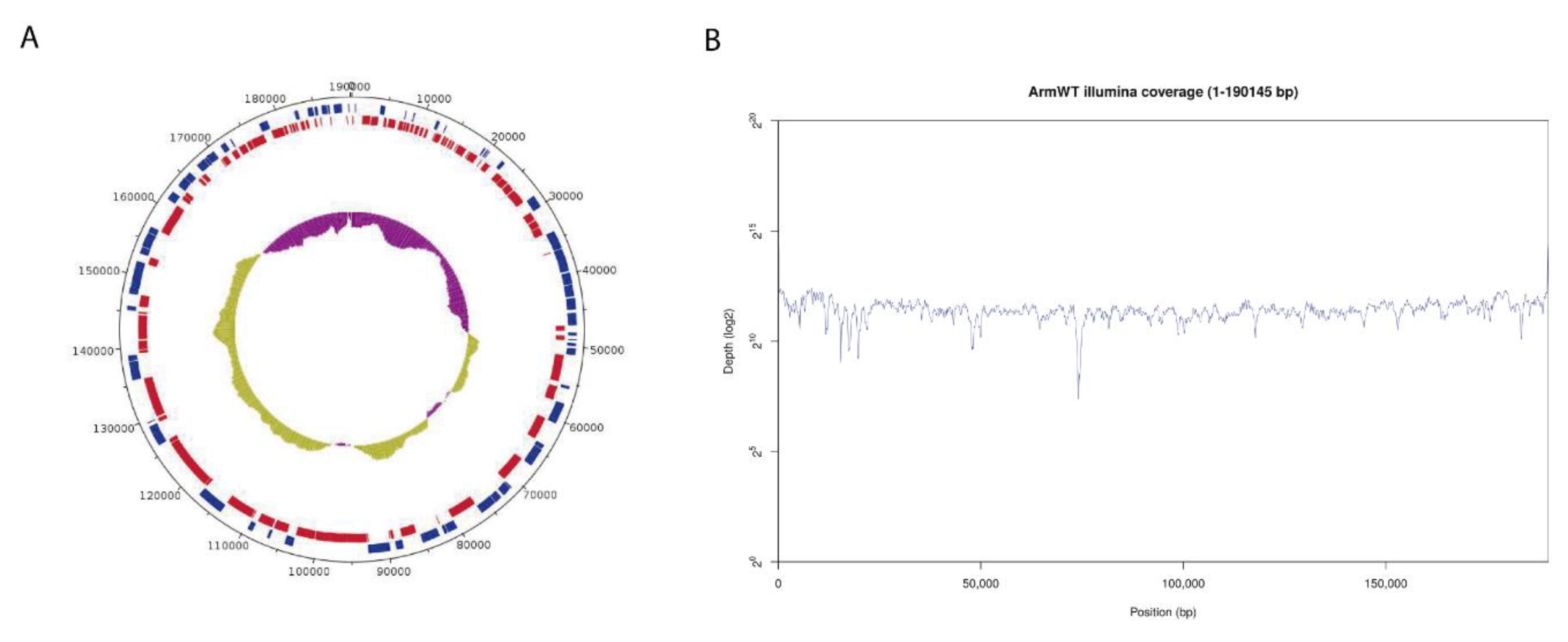 Vaccines 08 00625 g002 Vaccines 08 00625 g002