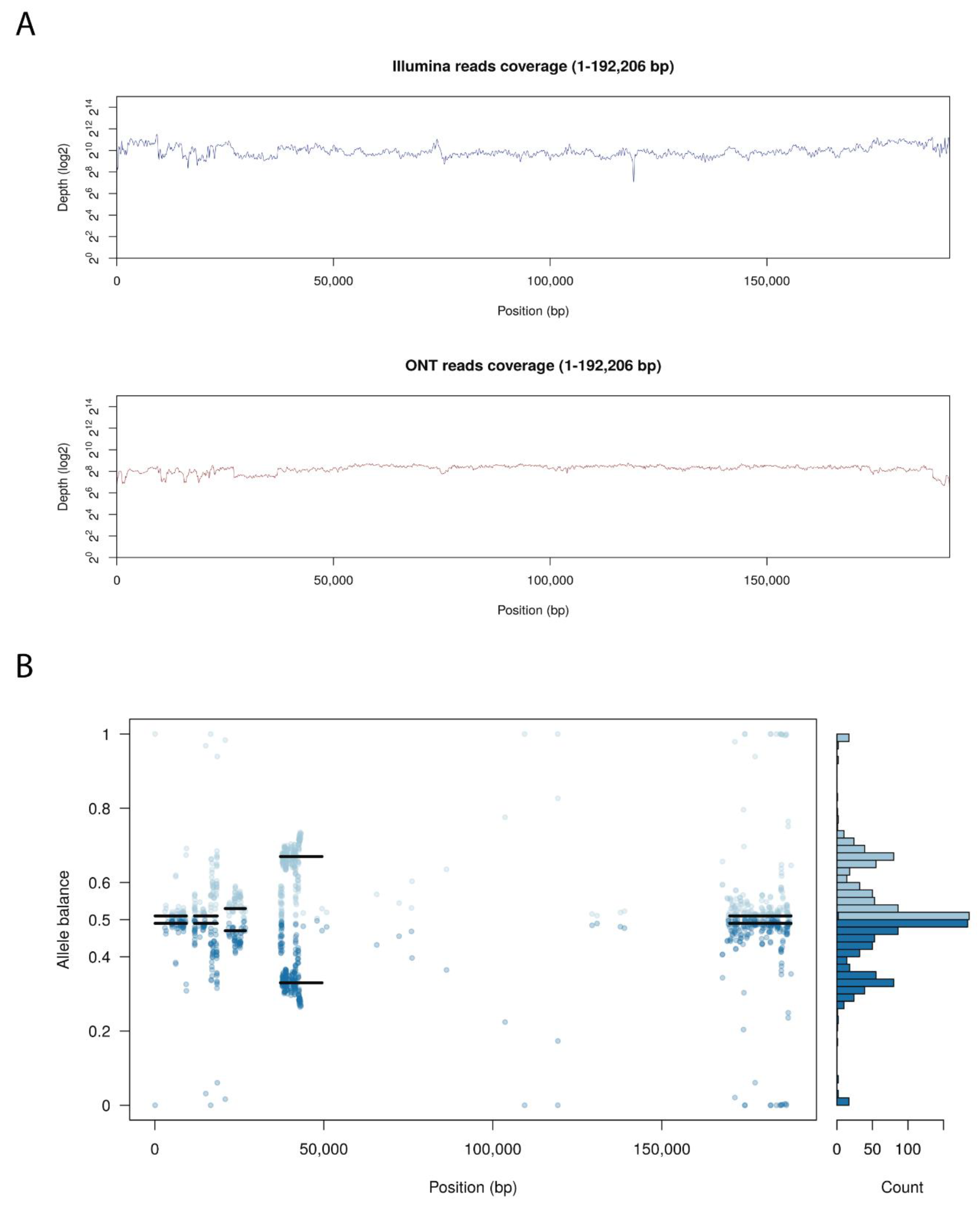 Vaccines 08 00625 g003 Vaccines 08 00625 g003